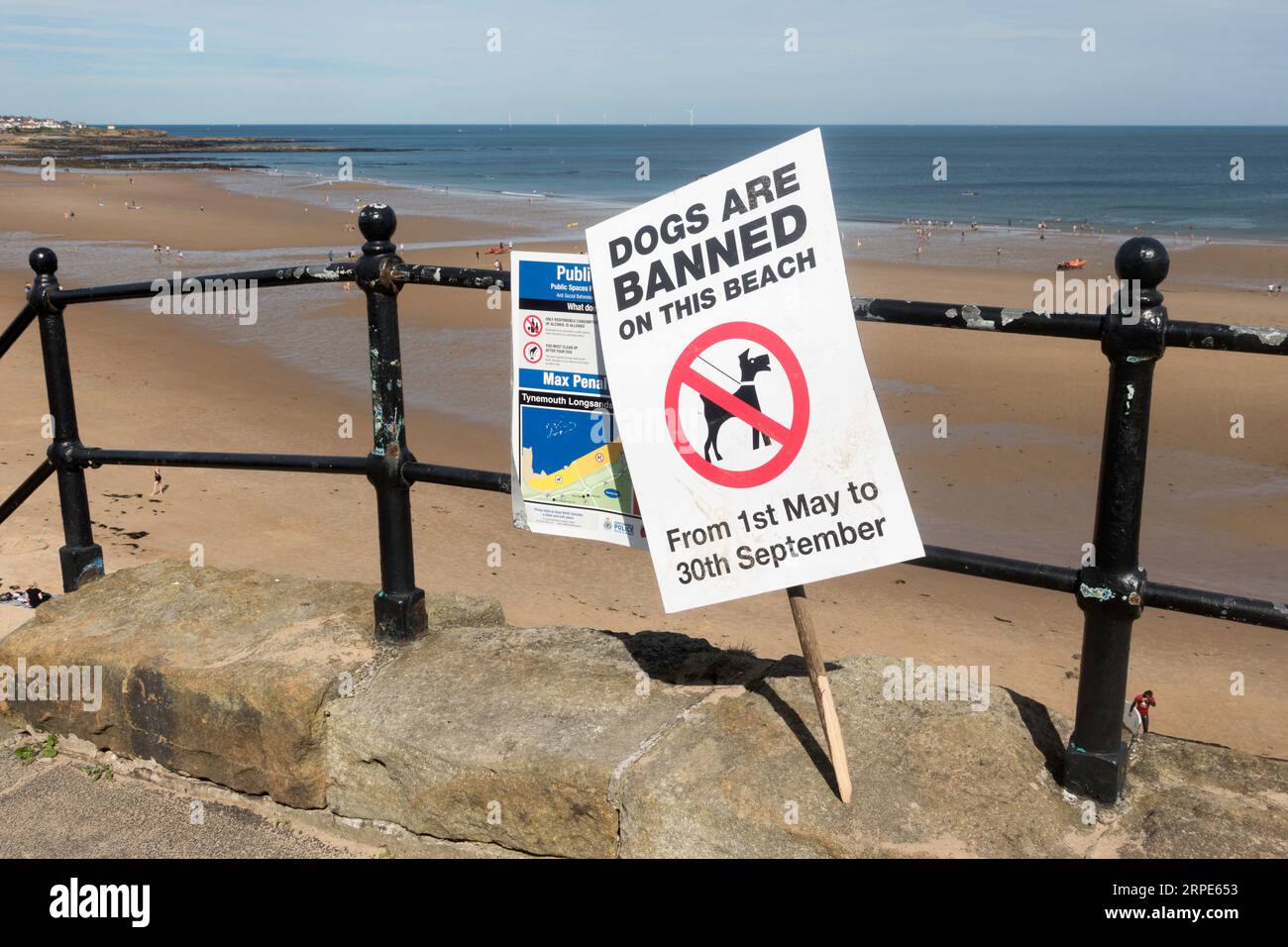 Cartello, i cani sono vietati su questa spiaggia, Tynemouth Longsands Beach, Inghilterra, Regno Unito Foto Stock