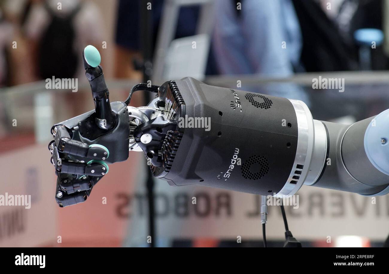 (190821) -- PECHINO, 21 agosto 2019 -- foto scattata il 21 agosto 2019 mostra un robot industriale esposto alla World robot Exhibition di Pechino, capitale della Cina. La mostra, parte della World robot Conference 2019 che ha avuto inizio martedì, presenta vari tipi di robot in diversi usi, tra cui settori industriali, servizi e logistica. Durante la mostra, il pubblico ha l'opportunità di vedere mostre di tecnologie e prodotti robotici all'avanguardia provenienti da oltre 180 rinomate aziende nazionali ed estere e istituti di ricerca impegnati nelle industrie robotiche. ) CHINA-BEIJING-WOR Foto Stock
