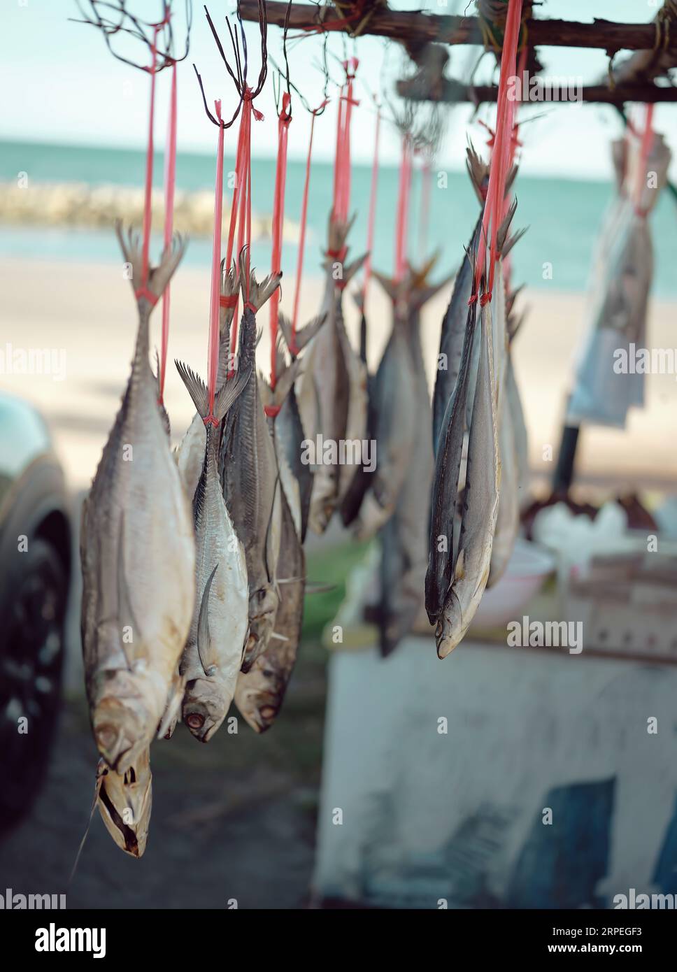 Pesce di mare secco in vendita sul mercato. Foto Stock