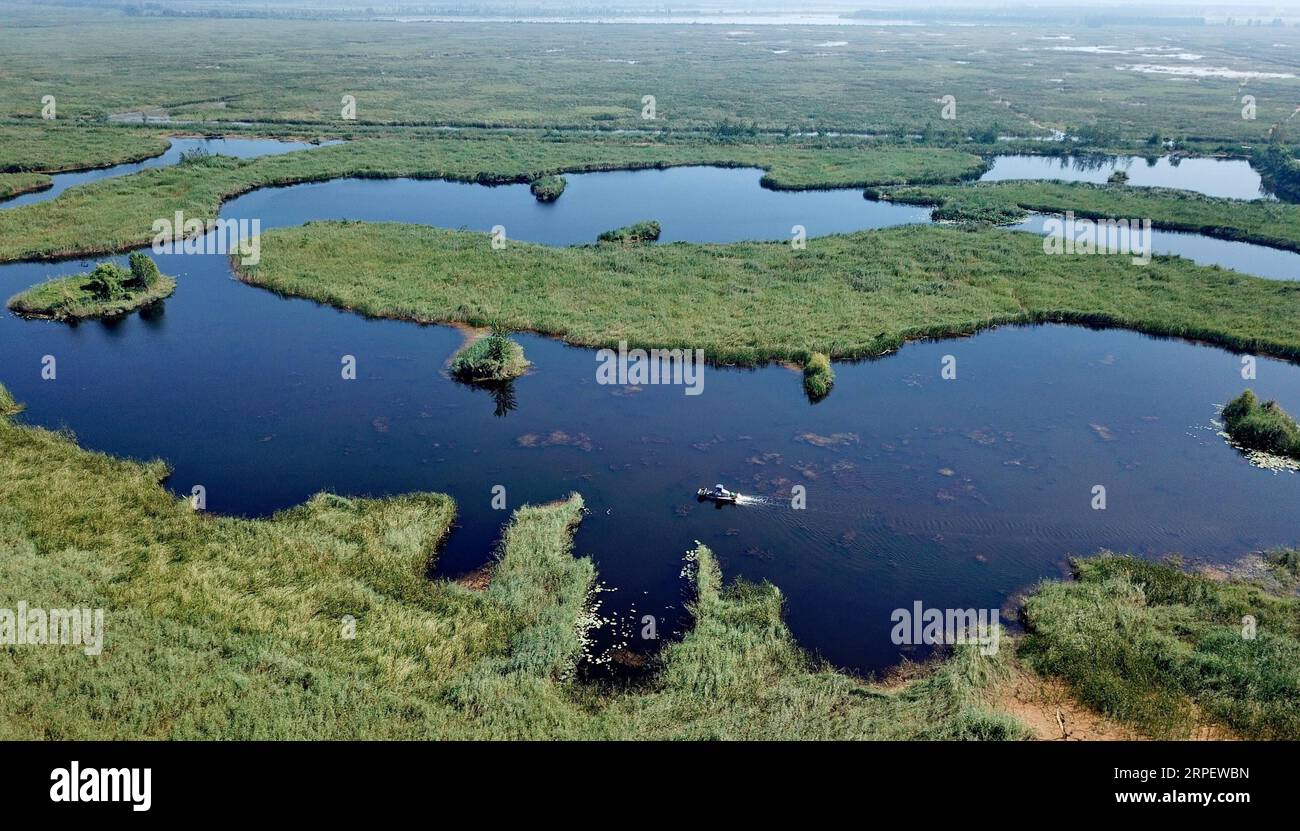 (190905) -- SHIJIAZHUANG, 5 settembre 2019 -- foto aerea scattata il 31 agosto 2019 mostra una barca per la pulizia dei pavimenti nel lago Baiyangdian della nuova area di Xiongan, nella provincia di Hebei nella Cina settentrionale. Secondo il Comitato amministrativo della nuova area di Xiongan, Xiongan è entrato in una fase di costruzione su larga scala. MU Yu) CHINA-HEBEI-XIONGAN-CONSTRUCTION (CN) MouxYu PUBLICATIONxNOTxINxCHN Foto Stock