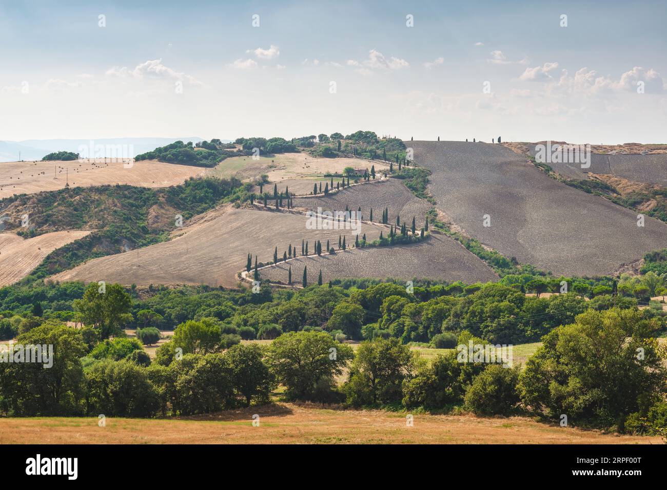 Paesaggio estivo e strada in salita con cipressi a la Foce, Val d'Orcia. Chianciano Terme, regione Toscana, Italia Foto Stock