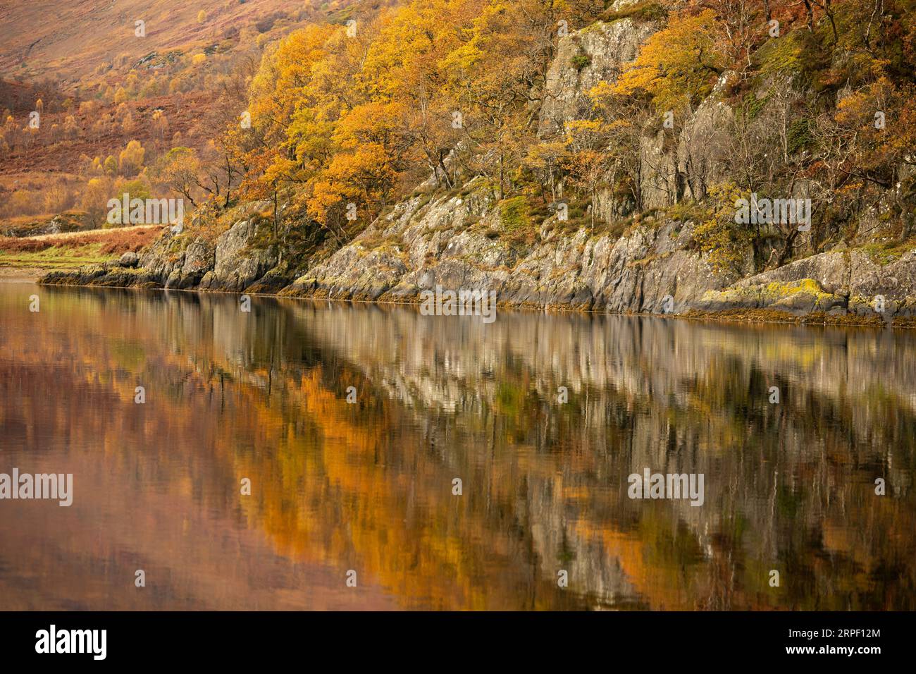 Colori autunnali vivaci riflessi sul lago Leven vicino a Kinlochleven, Lochaber, Highlands, Scozia, Regno Unito in autunno/inverno (novembre) Foto Stock