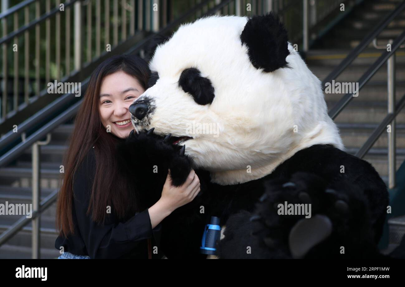 (190909) -- NEW YORK, 9 settembre 2019 -- Una donna posa per le foto con un panda in costume durante la cerimonia di lancio dell'Hello Panda Festival a New York, negli Stati Uniti, il 9 settembre 2019. Un festival invernale con lanterne cinesi, arti e cucine mondiali atterrerà a dicembre nel Citi Field di New York, il più grande del suo genere in Nord America, secondo una conferenza stampa di lunedì. Con una superficie di quasi 70.000 metri quadrati all'interno del famoso campo da baseball nel quartiere del Queens, l'Hello Panda Festival presenterà oltre 120 set di lanterne colorate. Il festival si terrà a partire da dicembre Foto Stock