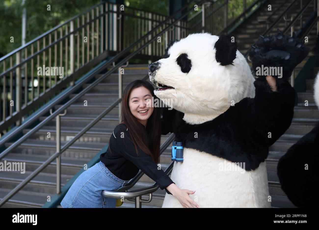 (190909) -- NEW YORK, 9 settembre 2019 -- Una donna posa per le foto con un panda in costume durante la cerimonia di lancio dell'Hello Panda Festival a New York, negli Stati Uniti, il 9 settembre 2019. Un festival invernale con lanterne cinesi, arti e cucine mondiali atterrerà a dicembre nel Citi Field di New York, il più grande del suo genere in Nord America, secondo una conferenza stampa di lunedì. Con una superficie di quasi 70.000 metri quadrati all'interno del famoso campo da baseball nel quartiere del Queens, l'Hello Panda Festival presenterà oltre 120 set di lanterne colorate. Il festival si terrà a partire da dicembre Foto Stock