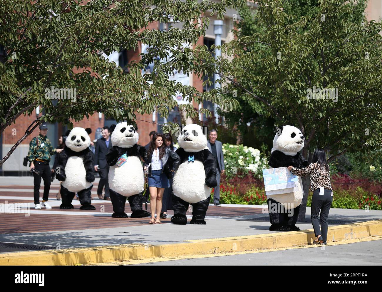 (190909) -- NEW YORK, 9 settembre 2019 -- i panda in costume visitano il Citi Field durante la cerimonia di lancio dell'Hello Panda Festival a New York, negli Stati Uniti, il 9 settembre 2019. Un festival invernale con lanterne cinesi, arti e cucine mondiali atterrerà a dicembre nel Citi Field di New York, il più grande del suo genere in Nord America, secondo una conferenza stampa di lunedì. Con una superficie di quasi 70.000 metri quadrati all'interno del famoso campo da baseball nel quartiere del Queens, l'Hello Panda Festival presenterà oltre 120 set di lanterne colorate. Il festival si terrà dal 6 dicembre 2019 Foto Stock