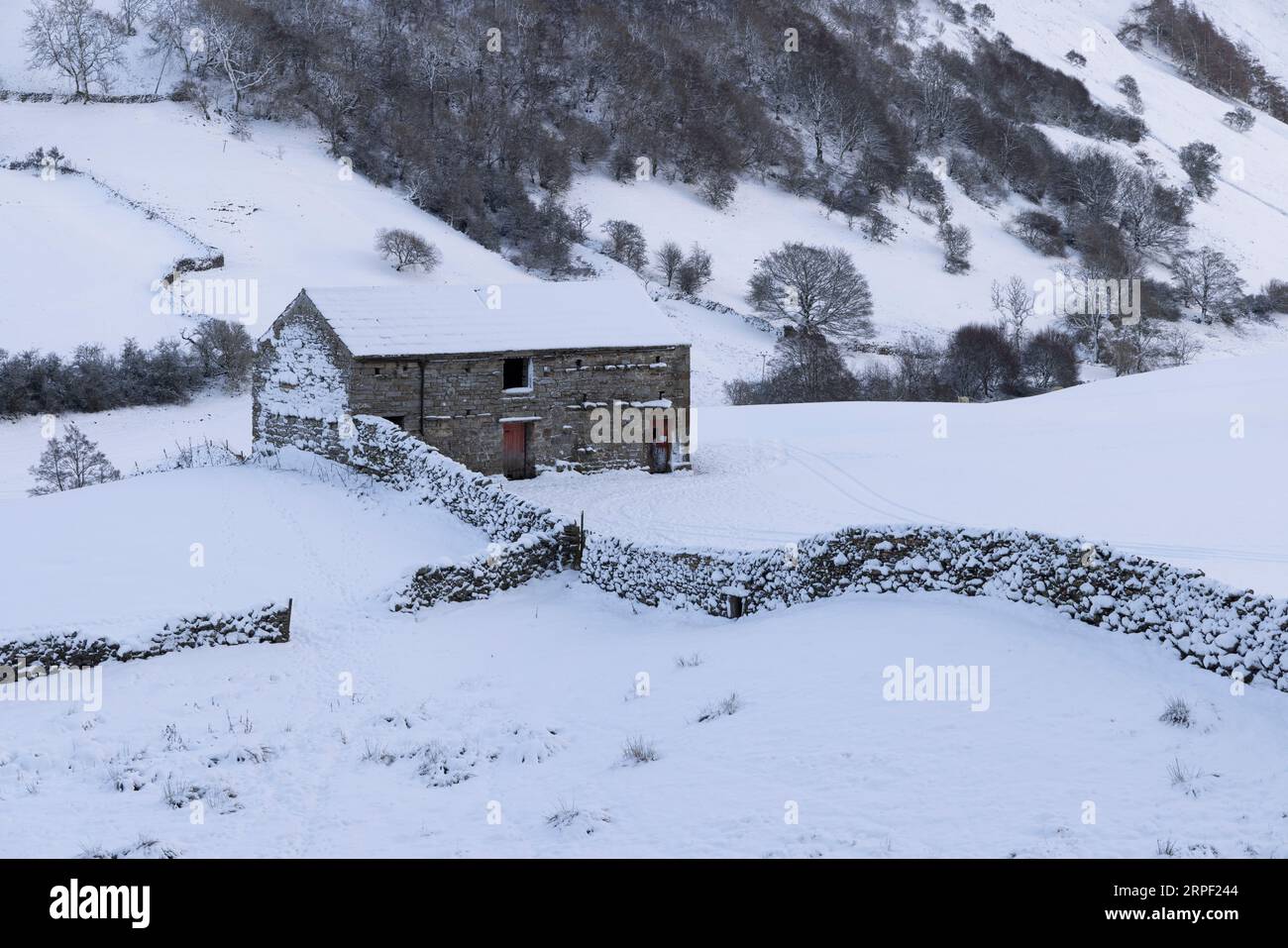 Fienile in pietra e muretti a secco con vista sulla valle innevata di Swaledale ad Angram, Swaledale, Yorkshire Dales, North Yorkshire, UK in aut Foto Stock