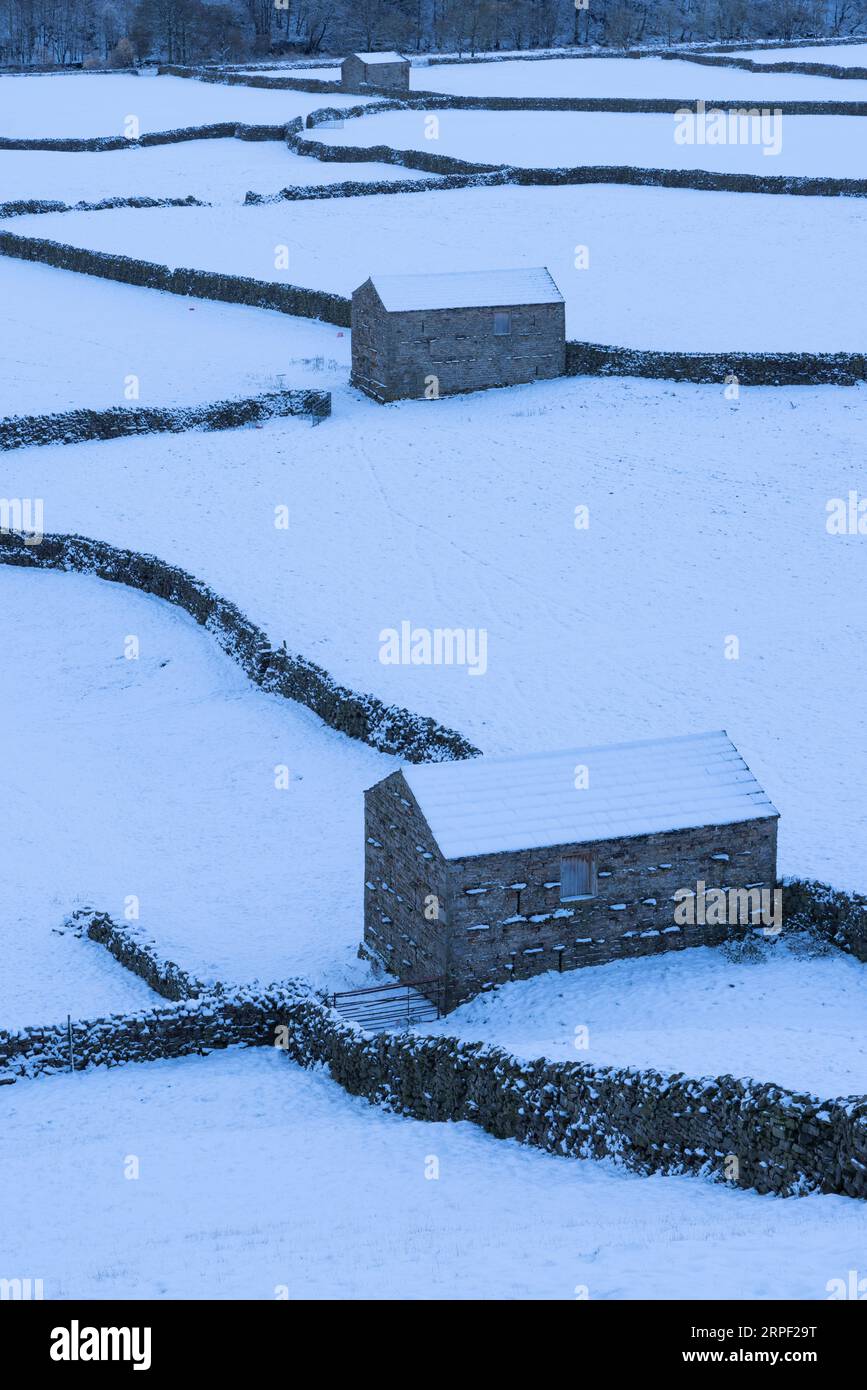 Prati innevati, fienili di pietra e muretti a secco a Gunnerside, Swaledale, Yorkshire Dales, North Yorkshire, Regno Unito in inverno (novembre) Foto Stock