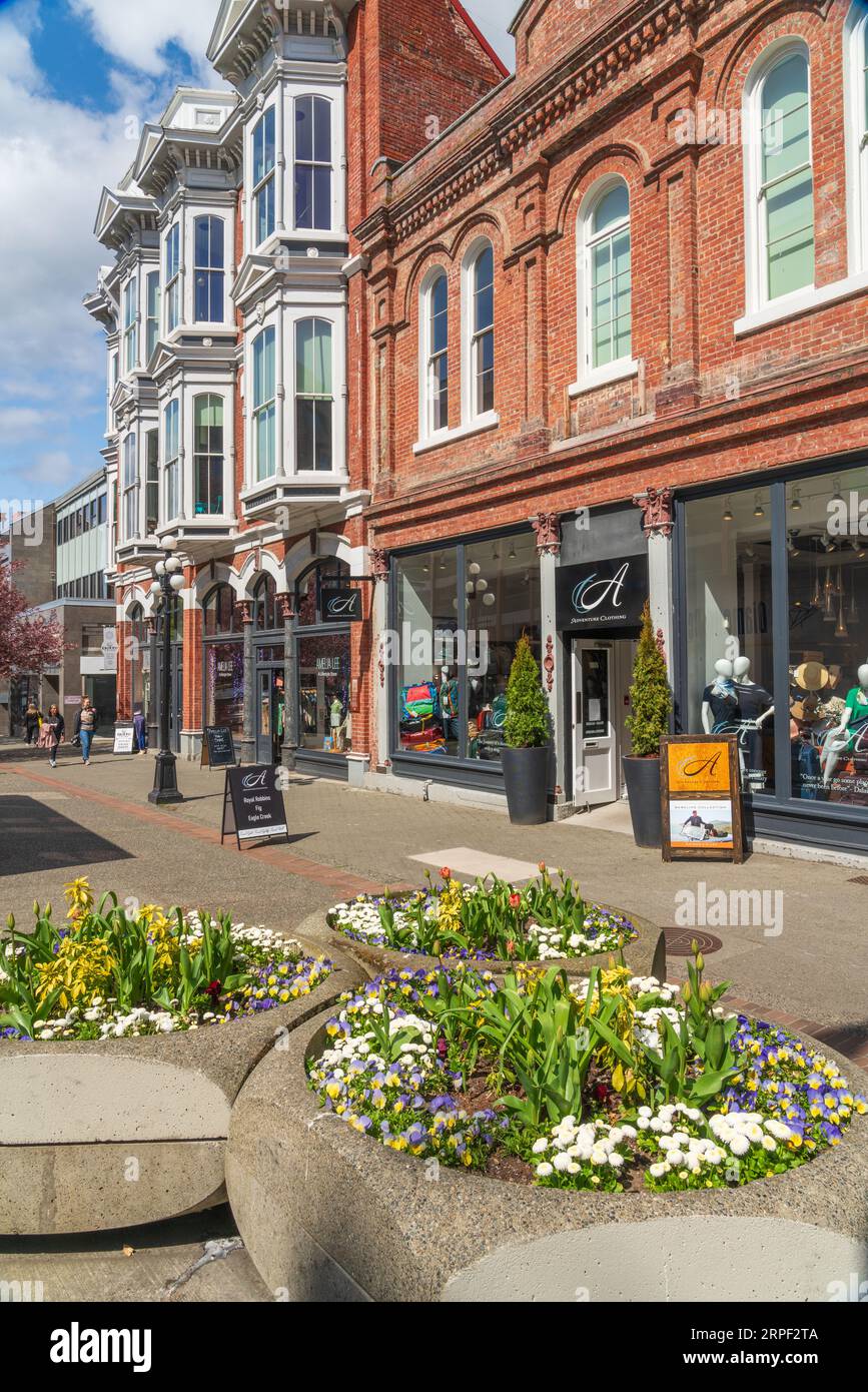 Architettura coloniale in una strada del centro di Victoria, Vancouver Island, British Columbia, Canada. Foto Stock