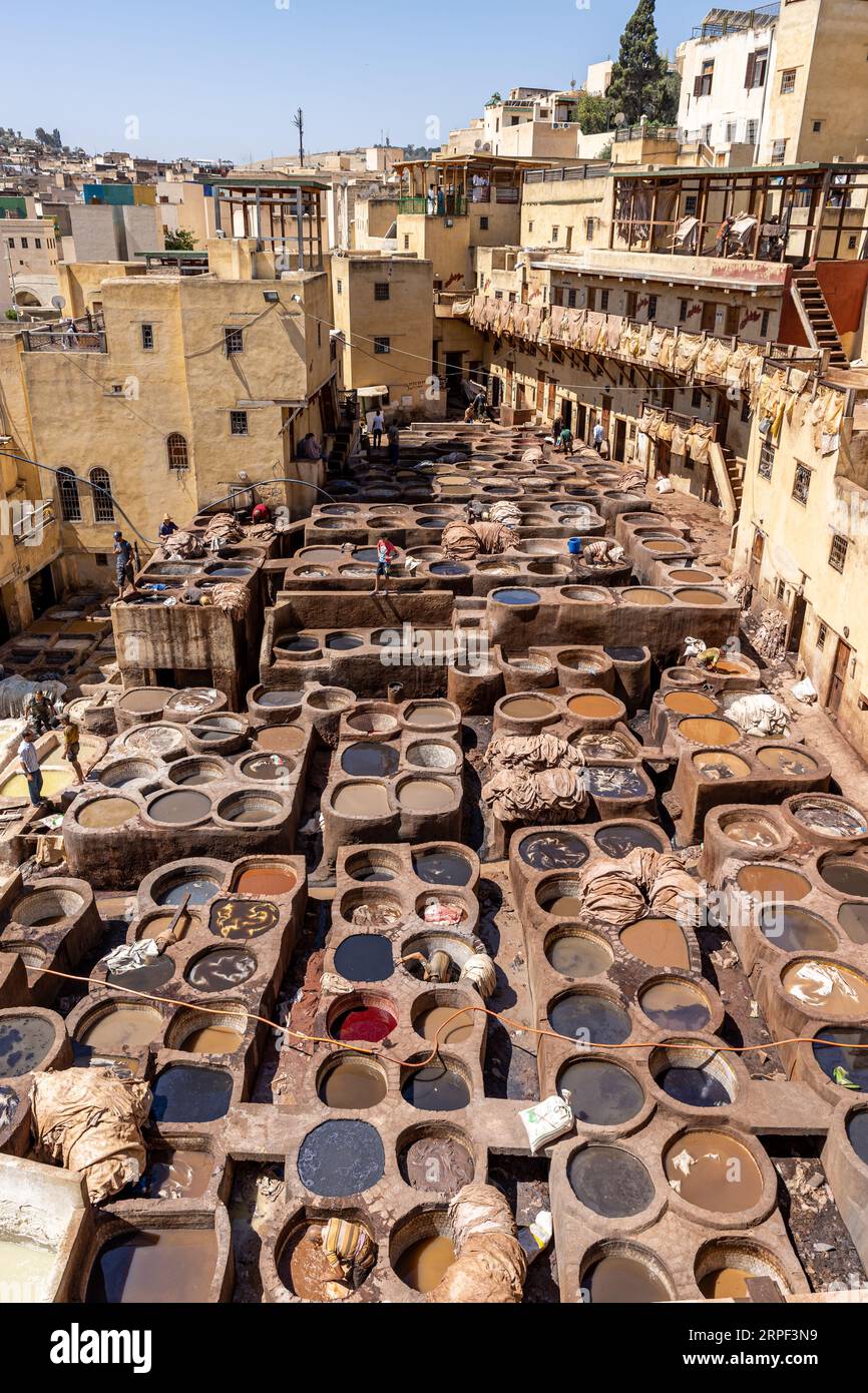 Marocco - FES El Bali (città antica) - Patrimonio dell'Umanità dell'UNESCO - la conceria Chouara (les Tanneries de Chouara) Foto Stock