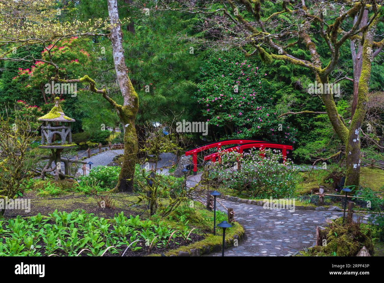 Il giardino giapponese primaverile presso i Butchart Gardens, Victoria, Vancouver Island, British Columbia, Canada. Foto Stock