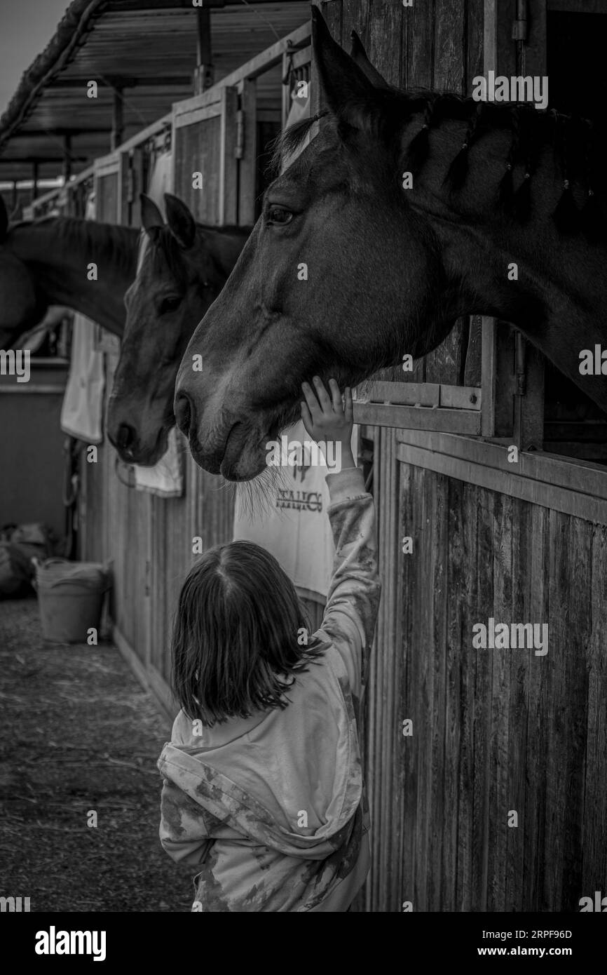 Baby girl con cavalli B&N Foto Stock