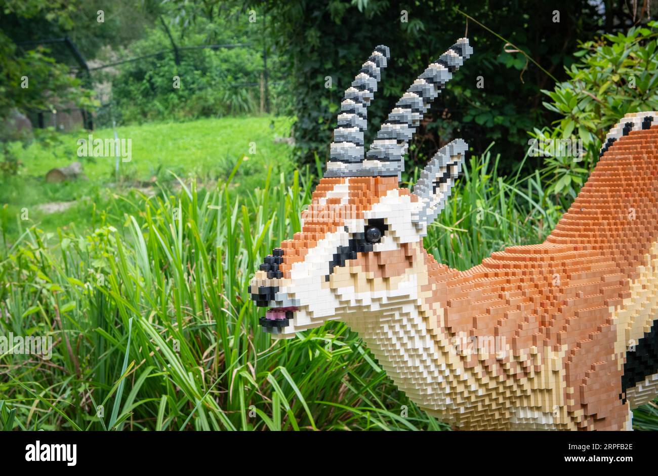 Zoo Planckendael, Mechelen, Belgio - 29 agosto 2023: Brick Safari e Animal Expo costruiti con mattoni Lego. Thomson Gazelle. Foto Stock