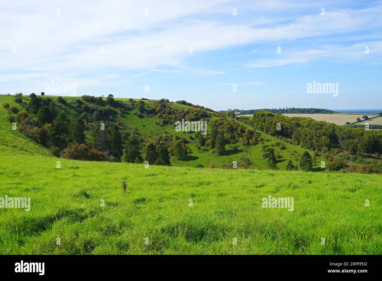 Una vista sul Combe Hole a Cannon Hill Down Foto Stock