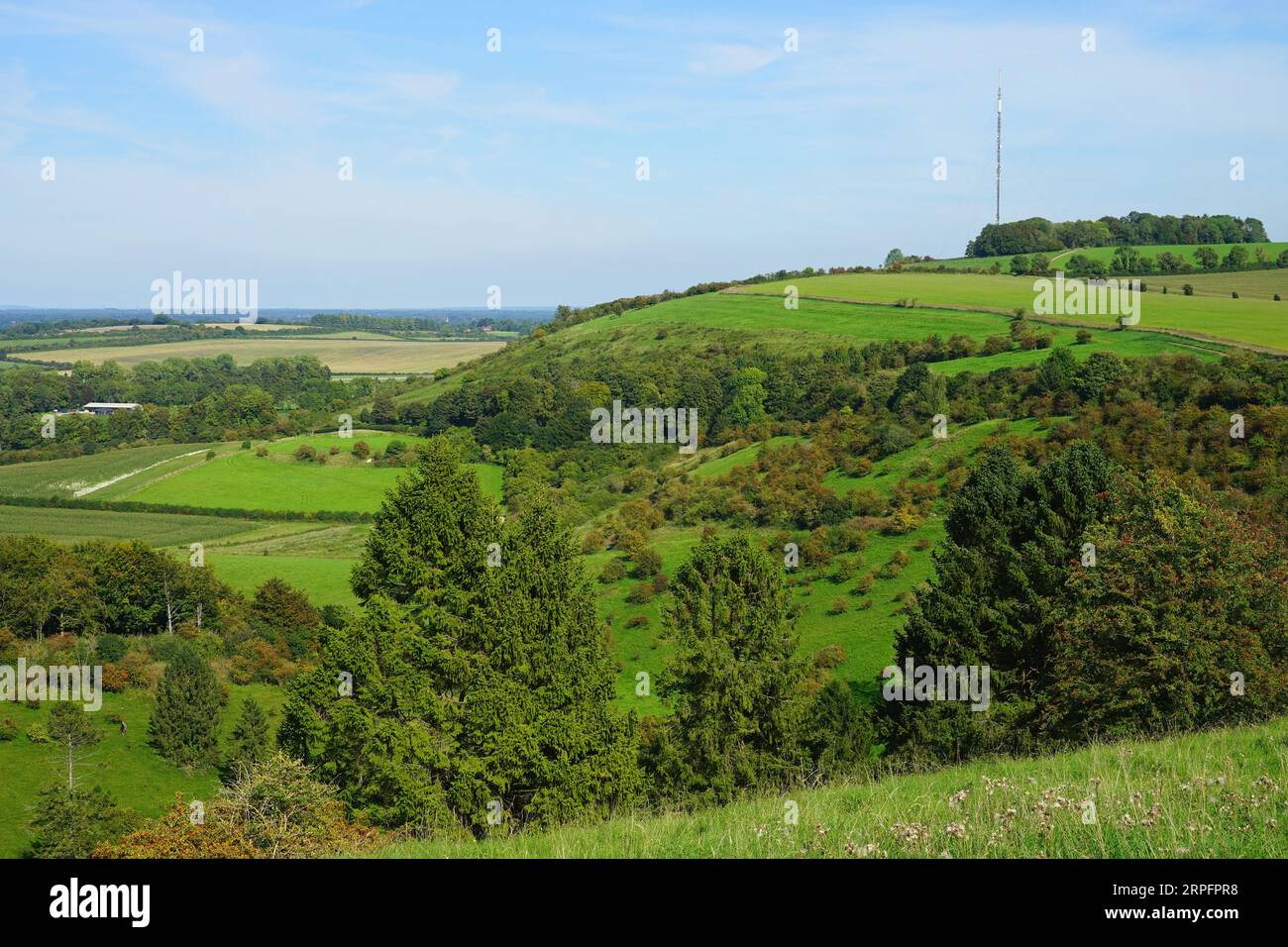 Una vista sul Warren a Cannon Hill fino a Stubbington Down Foto Stock