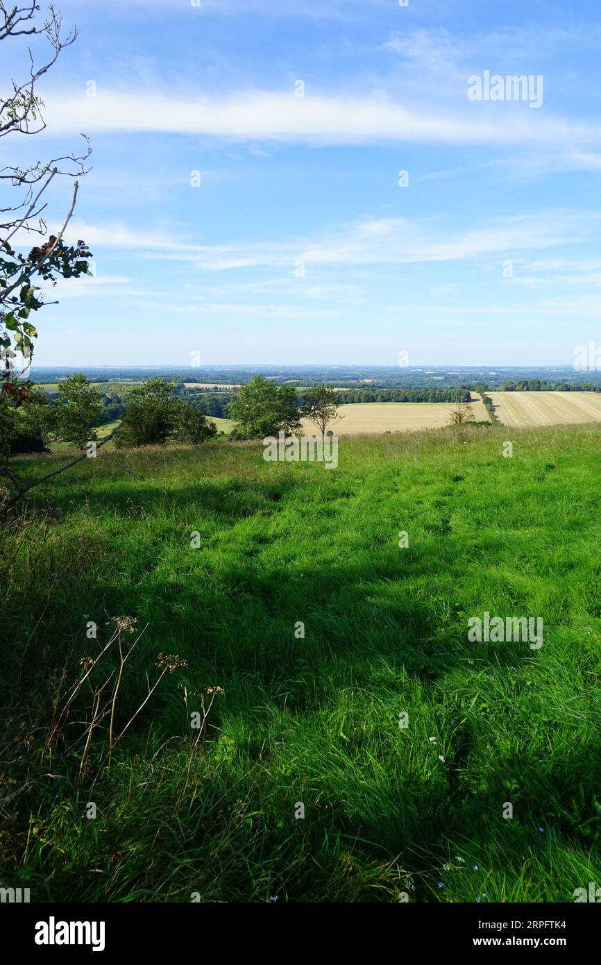 Su Watership Down Foto Stock