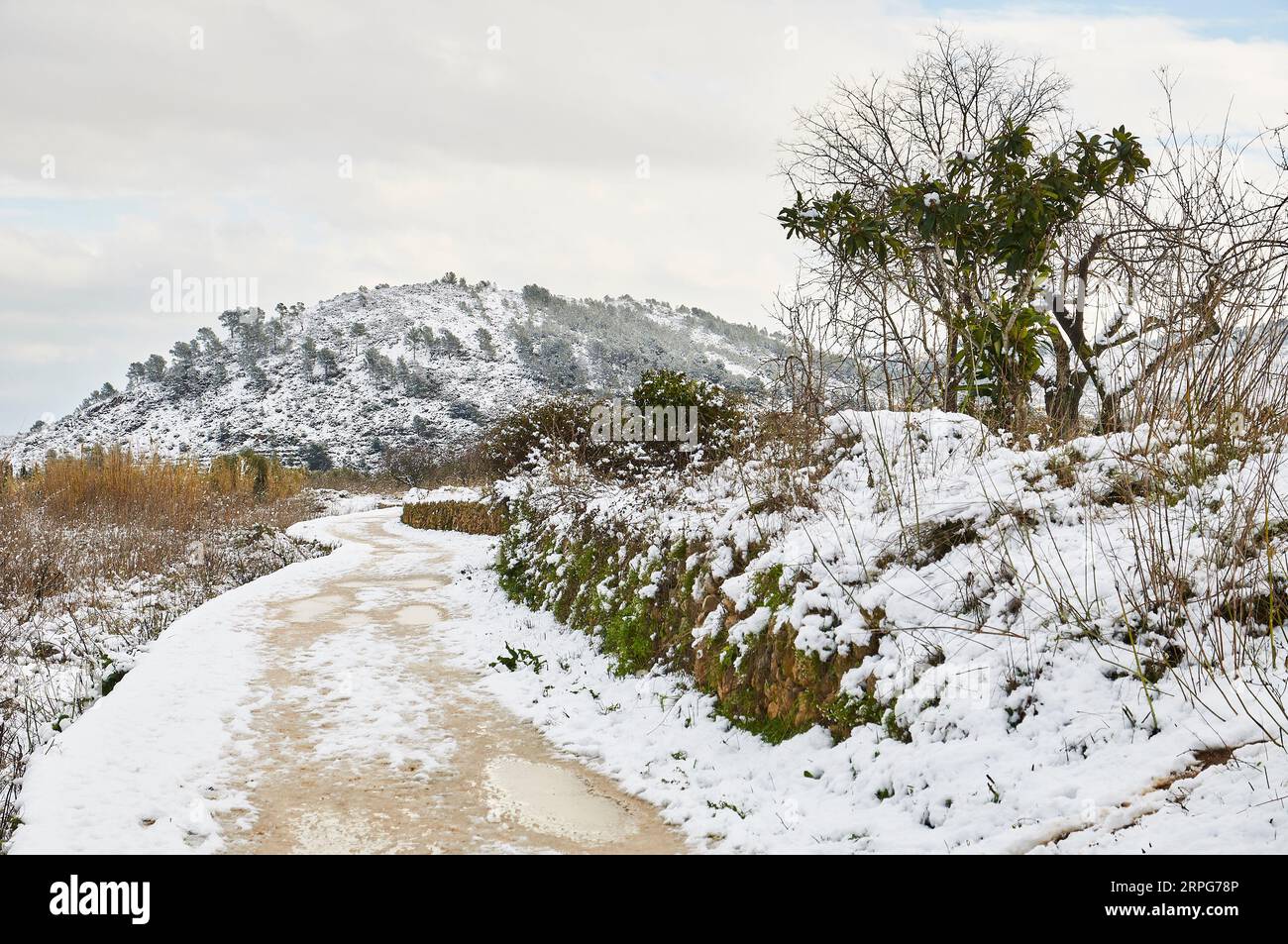 Vista innevata di Camí Molí de Llíber vicino a Xaló con la collina la Muntanyeta in lontananza (Xaló, Marina alta, Alicante, Comunità Valenciana, Spagna) Foto Stock