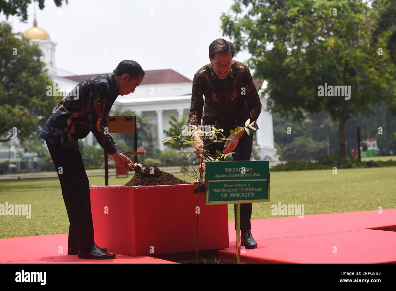 191007 -- BOGOR, 7 ottobre 2019 -- in visita al primo ministro olandese Mark Rutte R e al presidente indonesiano Joko Widodo piantano un albero nel palazzo presidenziale di Bogor, provincia di Giava Occidentale, Indonesia, 7 ottobre 2019. INDONESIA-BOGOR-OLANDESE PM-VISITA Zulkarnain PUBLICATIONxNOTxINxCHN Foto Stock