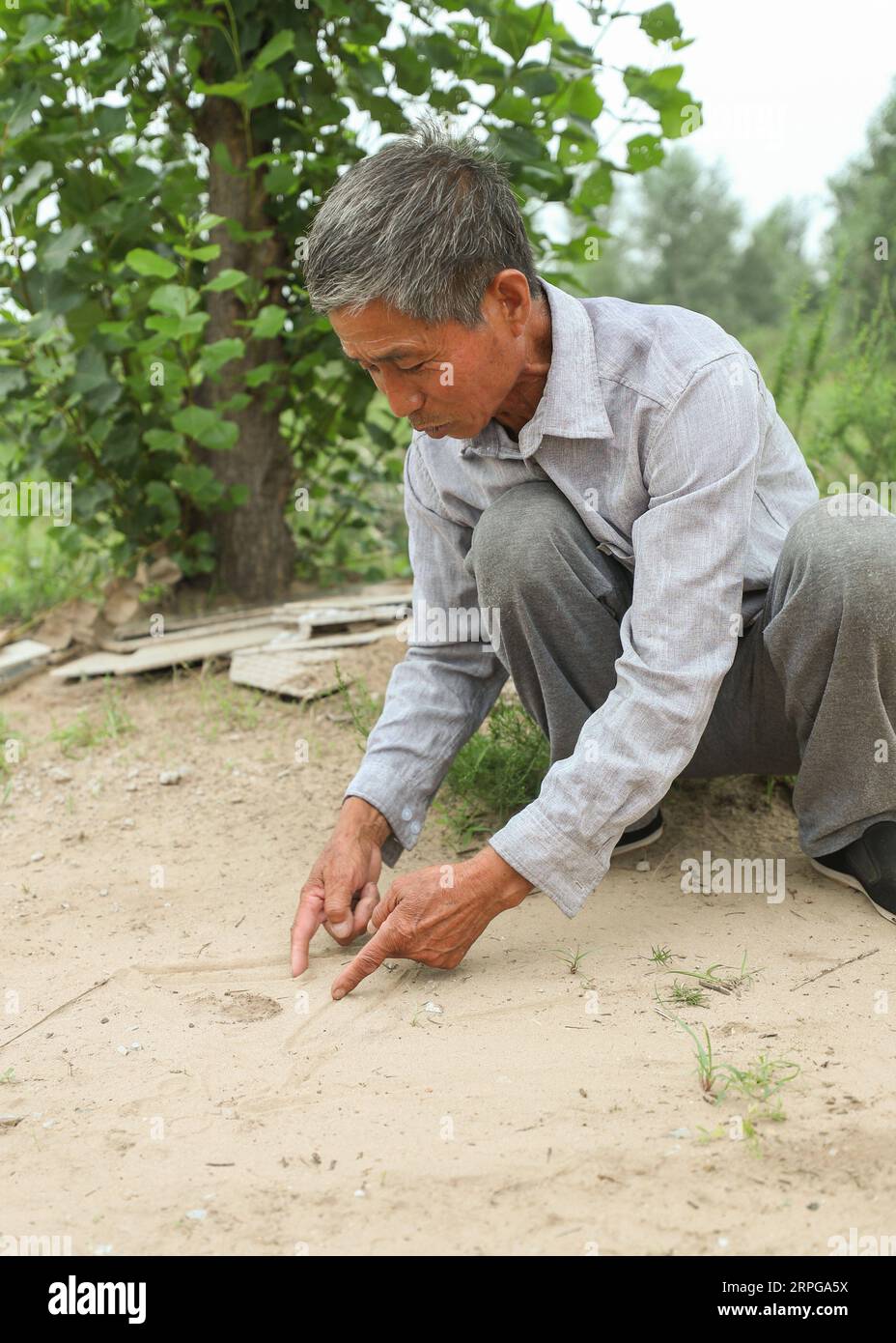 191009 -- FUXIN, 9 ottobre 2019 -- Hou Gui spiega il suo piano dell'area forestale nella contea di Zhangwu della città di Fuxin, provincia di Liaoning della Cina nord-orientale, 17 luglio 2019. Hou Gui, 68, è un villaggio del villaggio di Liujia, nella città di Sihecheng, nella contea di Zhangwu. Vivendo al confine meridionale della terra sabbiosa di Horqin, Hou ha piantato più di 200.000 alberi su 2.400 mu 160 ettari di terreno sabbioso negli ultimi 18 anni. Quando ero bambino, il vento fece saltare la sabbia e non riuscivo a vedere niente. Ha detto Hou Gui. Al fine di proteggere la sua patria, Hou Gui iniziò l'imboschimento nel 2001. Negli ultimi anni, con la stre Foto Stock