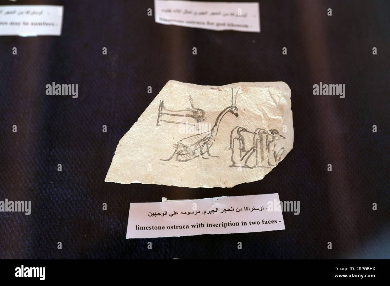 191010 -- LUXOR EGITTO, 10 ottobre 2019 -- Un ostracon di pietra calcarea è visto durante la presentazione di una nuova scoperta a Luxor, in Egitto, il 10 ottobre 2019. Il rinomato egittologo egiziano Zahi Hawass ha annunciato giovedì la scoperta della prima antica zona industriale in Egitto, che risale alla XVIII dinastia dal 1549/1550 al 1292 a.C. EGITTO-LUXOR-ANTICA ZONA INDUSTRIALE AhmedxGomaa PUBLICATIONxNOTxINxCHN Foto Stock