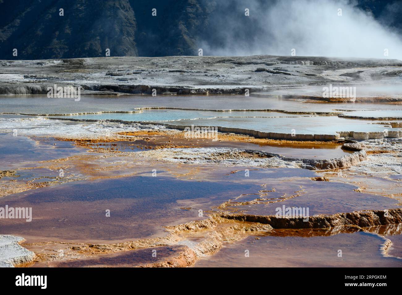 Mammoth Hot Springs nel parco nazionale di Yellowstone, vicino a Gardiner nel Montana Foto Stock