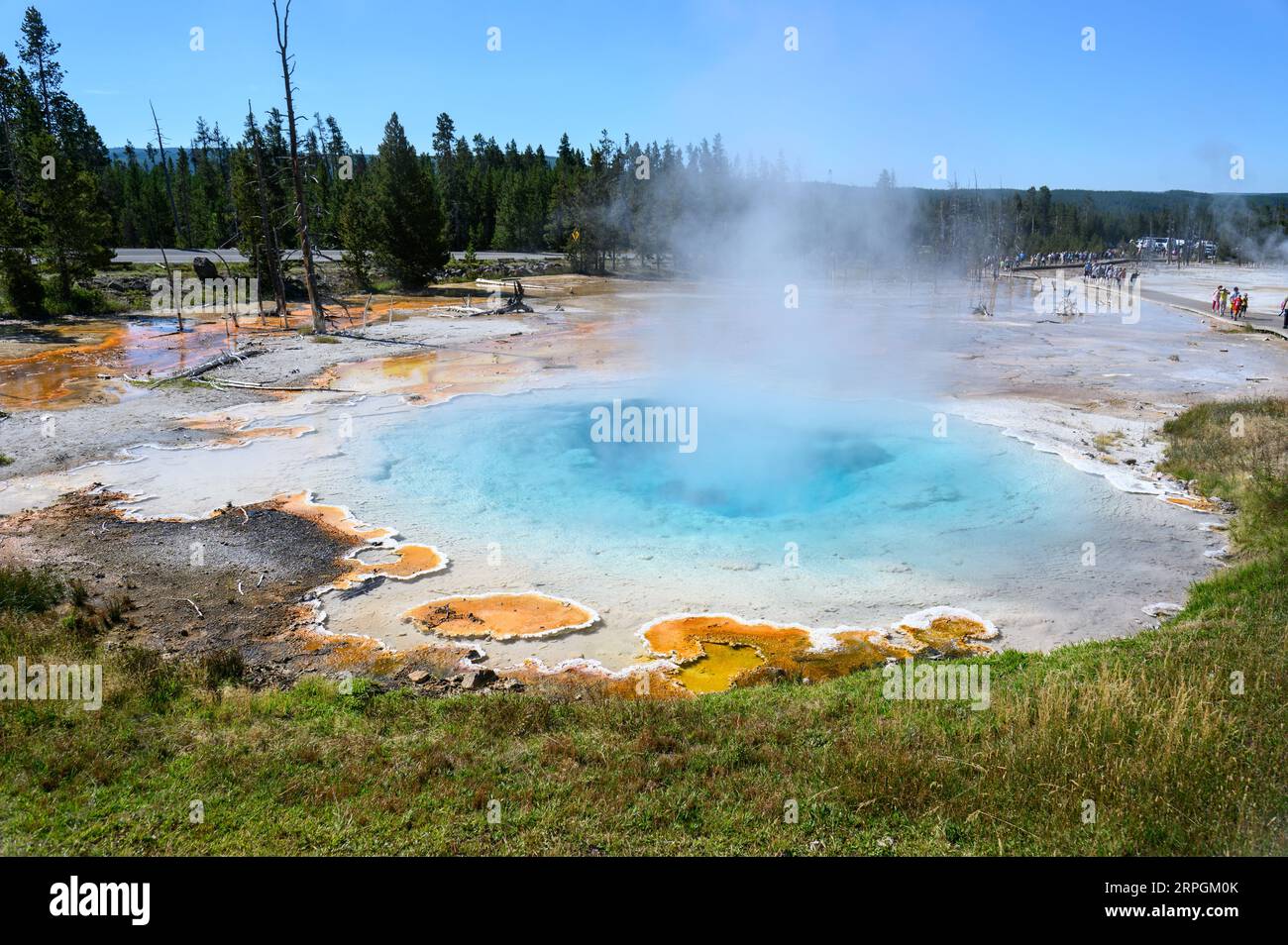 Artists Paint Pot Springs nel parco nazionale di Yellowstone Foto Stock