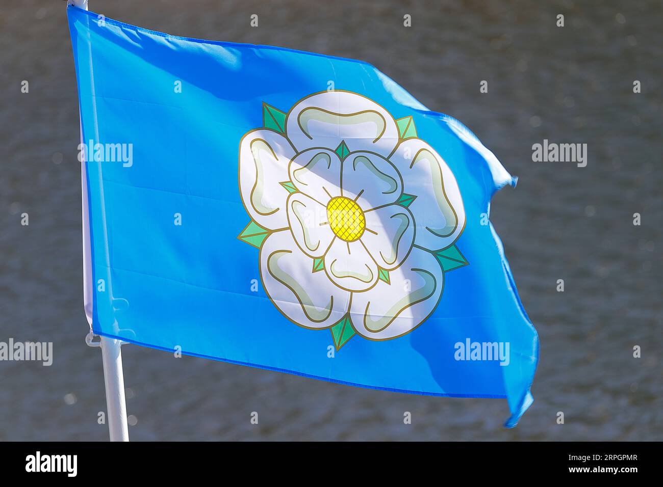 La bandiera della contea dello Yorkshire che soffiava al vento su Whitby harbouor, North Yorkshire, Regno Unito Foto Stock