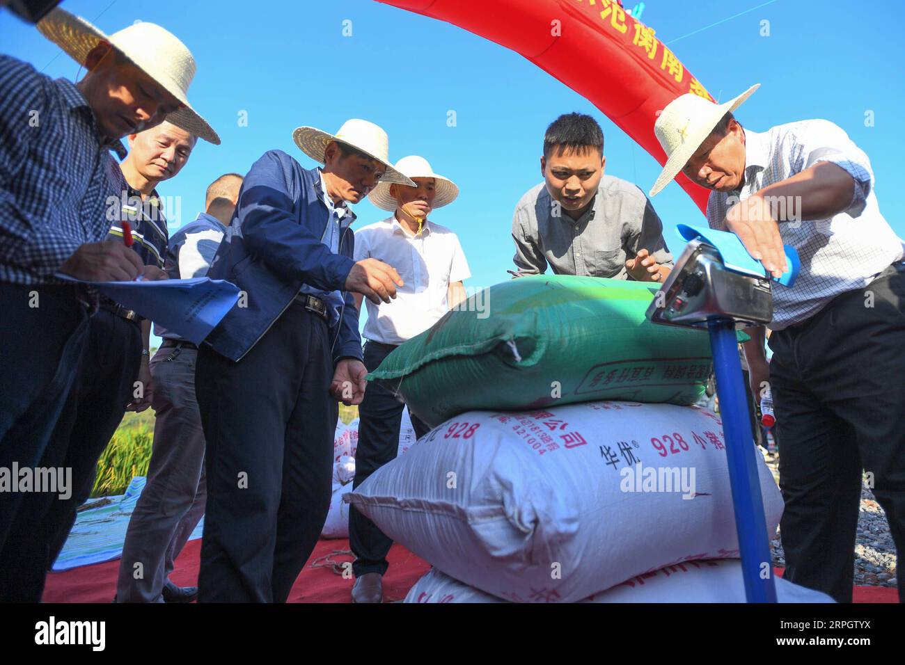 191022 -- CHANGSHA, 22 ottobre 2019 -- i membri dello staff pesano sacchi di riso ibrido di terza generazione in una base dimostrativa nella contea di Hengnan della città di Hengyang, nella provincia di Hunan, nella Cina centrale, 21 ottobre 2019. Il riso ibrido di terza generazione sviluppato da Yuan Longping, il padre del riso ibrido, e il suo team sono stati sottoposti al suo primo monitoraggio pubblico della resa dal lunedì al martedì e hanno raggiunto un alto rendimento. La resa finale della varietà testata, G3-1S/P19, è stata di 1.046,3 kg per mu circa 667 metri quadrati, sulla base di due appezzamenti di terreno nel villaggio di Qingzhu sotto la città di Hengyang in Hunan. EyesonsciCHINA-H. Foto Stock