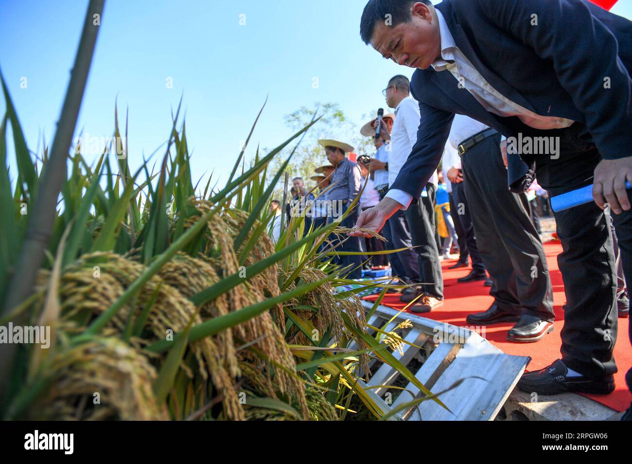 191022 -- CHANGSHA, 22 ottobre 2019 -- un esperto agricolo controlla il riso ibrido di terza generazione su un appezzamento di terreno in una base dimostrativa nella contea di Hengnan della città di Hengyang, nella provincia di Hunan, nella Cina centrale, 21 ottobre 2019. Il riso ibrido di terza generazione sviluppato da Yuan Longping, il padre del riso ibrido, e il suo team sono stati sottoposti al suo primo monitoraggio pubblico della resa dal lunedì al martedì e hanno raggiunto un alto rendimento. La resa finale della varietà testata, G3-1S/P19, è stata di 1.046,3 kg per mu circa 667 metri quadrati, sulla base di due appezzamenti di terreno nel villaggio di Qingzhu sotto la città di Hengyang a Huna Foto Stock