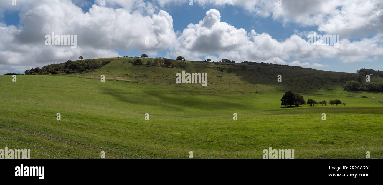 Vista panoramica del Cissbury Ring, il più grande forte collinare del Sussex, Inghilterra, Regno Unito. Foto Stock
