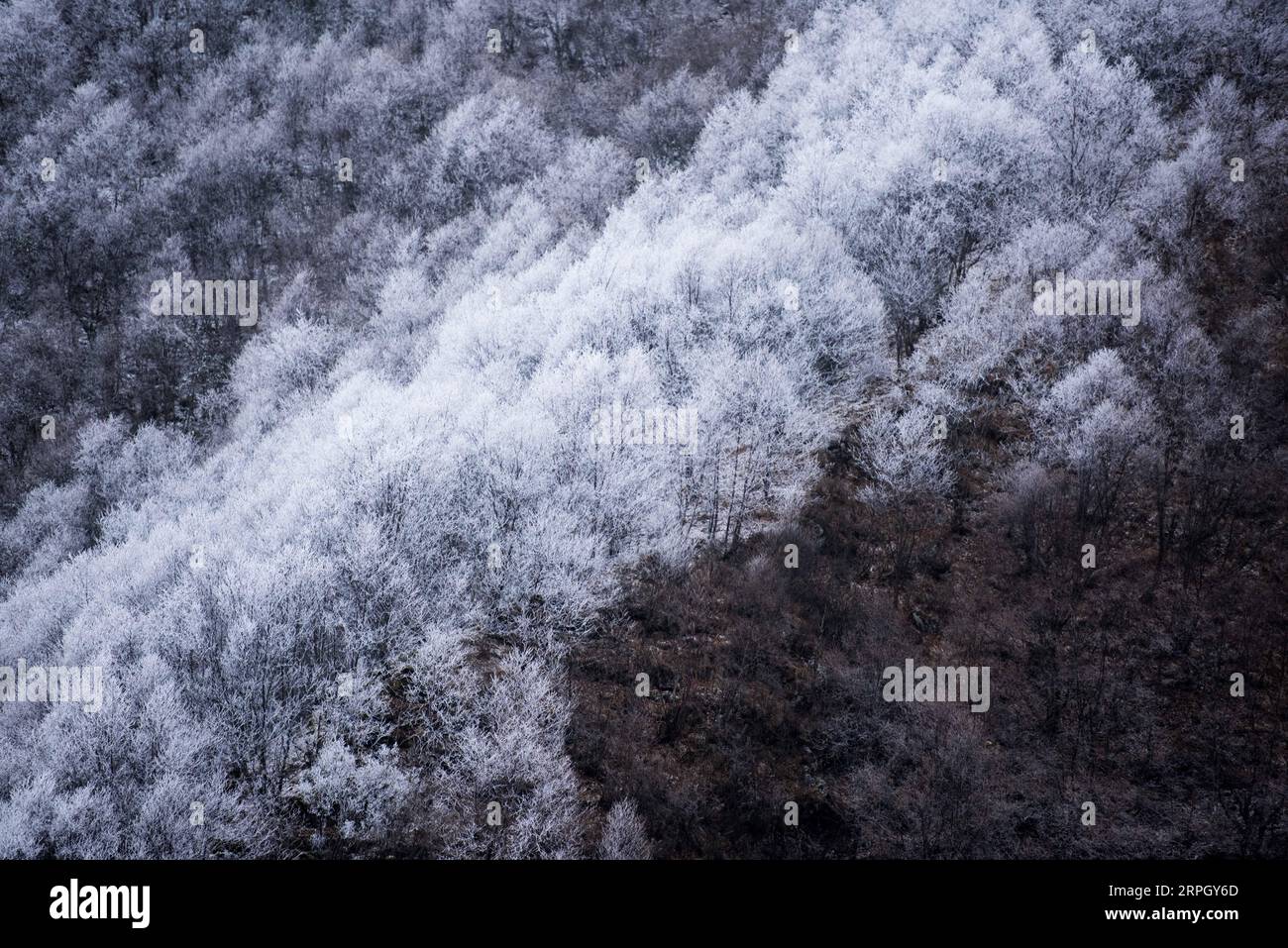191024 -- XINING, 24 ottobre 2019 -- foto scattata il 24 ottobre 2019 mostra lo scenario del Qunjia National Forest Park nella contea di Huangzhong, nella provincia del Qinghai della Cina nord-occidentale. CHINA-QINGHAI-QUNJIA NATIONAL FOREST PARK-SCENIC CN WUXGANG PUBLICATIONXNOTXINXCHN Foto Stock