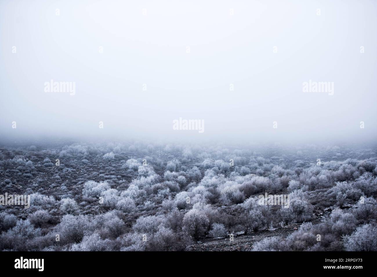 191024 -- XINING, 24 ottobre 2019 -- foto scattata il 24 ottobre 2019 mostra lo scenario del Qunjia National Forest Park nella contea di Huangzhong, nella provincia del Qinghai della Cina nord-occidentale. CHINA-QINGHAI-QUNJIA NATIONAL FOREST PARK-SCENIC CN WUXGANG PUBLICATIONXNOTXINXCHN Foto Stock
