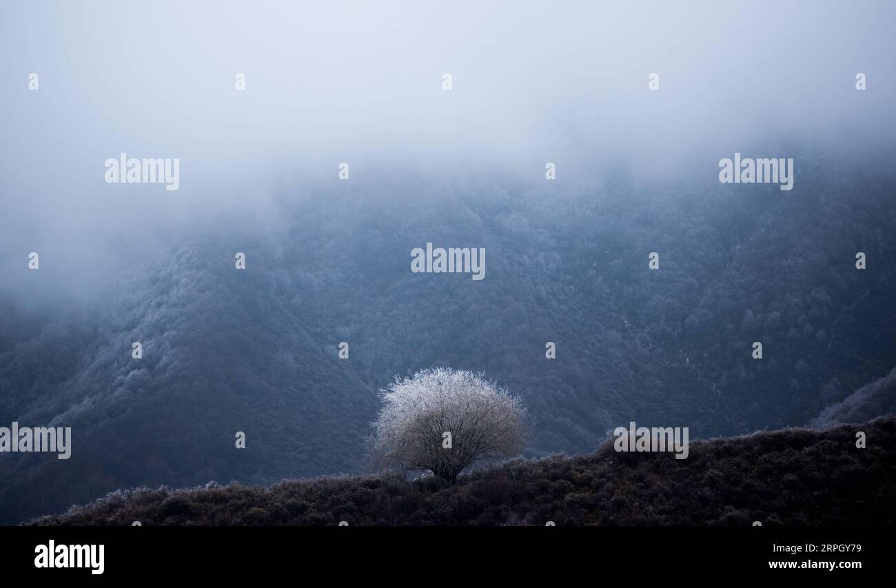 191024 -- XINING, 24 ottobre 2019 -- foto scattata il 24 ottobre 2019 mostra lo scenario del Qunjia National Forest Park nella contea di Huangzhong, nella provincia del Qinghai della Cina nord-occidentale. CHINA-QINGHAI-QUNJIA NATIONAL FOREST PARK-SCENIC CN WUXGANG PUBLICATIONXNOTXINXCHN Foto Stock