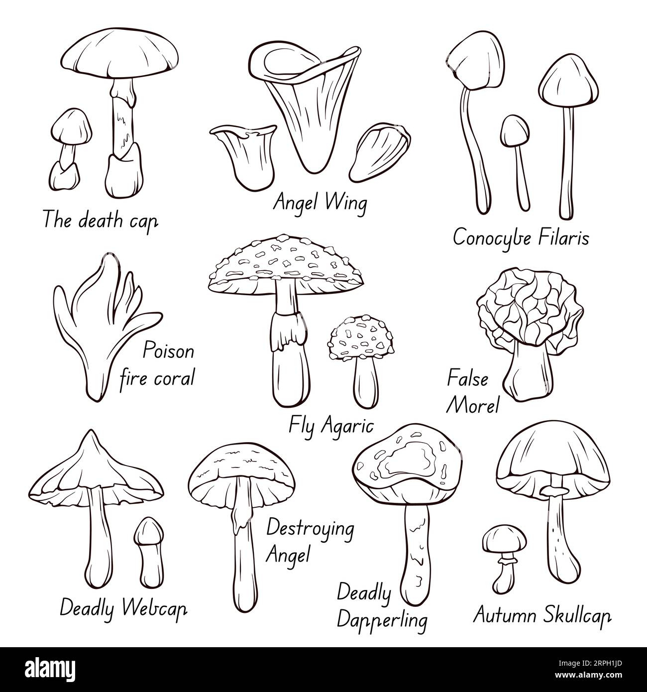 Icone inedibili della collezione di funghi nella grafica in linea, stile di contorno. Fly Agaric, Autumn Skullcap, Deadly Webcap, False Morel, Poison Fire Coral. Vettore Illustrazione Vettoriale
