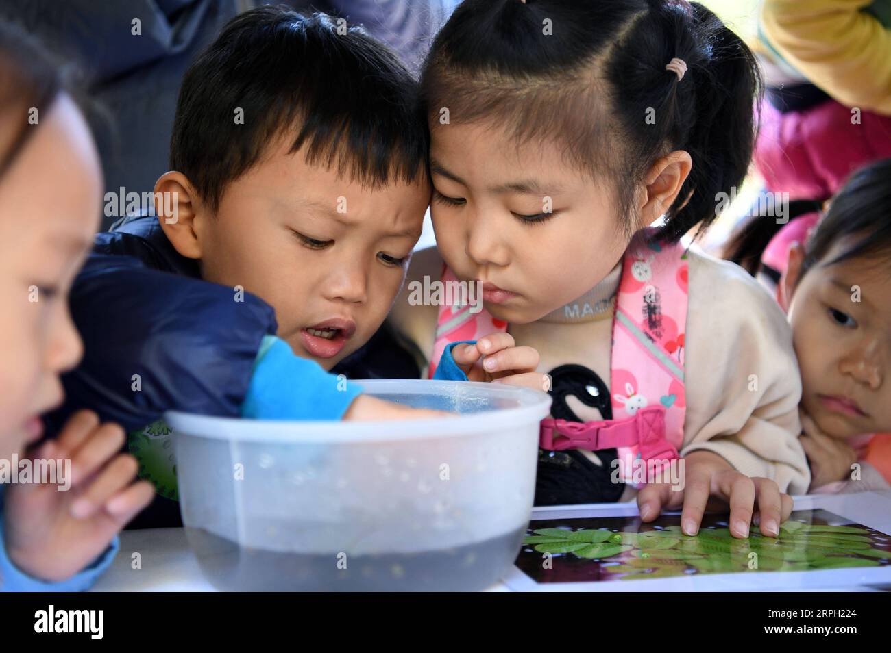191027 -- PECHINO, 27 ottobre 2019 -- i bambini osservano le piante acquatiche durante un festival di osservazione della natura a Pechino, capitale della Cina, 26 ottobre 2019. Il festival di osservazione della natura ha avuto inizio sabato nel Parco Haidian di Pechino. Circa 16 squadre partecipanti sceglieranno siti di osservazione a Pechino e registreranno le informazioni sulle specie di flora e fauna per fornire dati che potrebbero essere utilizzati per la ricerca e la protezione della biodiversità. Il festival consiste anche di altre attività volte a migliorare la consapevolezza dei residenti sulla protezione ecologica. CHINA-BEIJING-NATURE OBSERVATION FESTIVAL CN TAOXXIYI PUBL Foto Stock