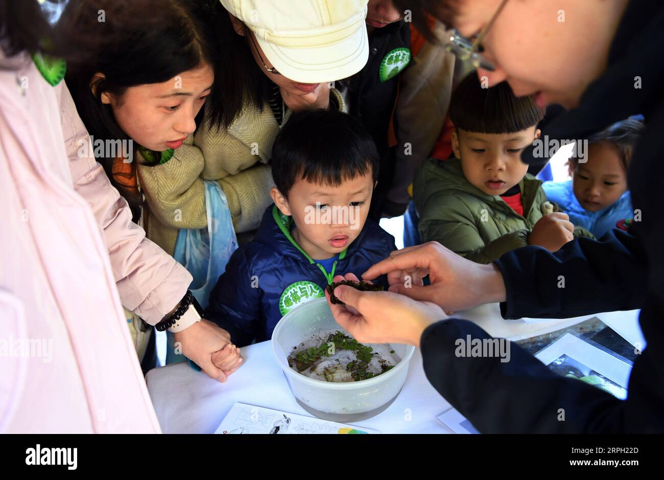 191027 -- PECHINO, 27 ottobre 2019 -- i bambini imparano la conoscenza delle piante acquatiche durante un festival di osservazione della natura a Pechino, capitale della Cina, 26 ottobre 2019. Il festival di osservazione della natura ha avuto inizio sabato nel Parco Haidian di Pechino. Circa 16 squadre partecipanti sceglieranno siti di osservazione a Pechino e registreranno le informazioni sulle specie di flora e fauna per fornire dati che potrebbero essere utilizzati per la ricerca e la protezione della biodiversità. Il festival consiste anche di altre attività volte a migliorare la consapevolezza dei residenti sulla protezione ecologica. CHINA-BEIJING-NATURE OBSERVATION FESTIVAL C. Foto Stock