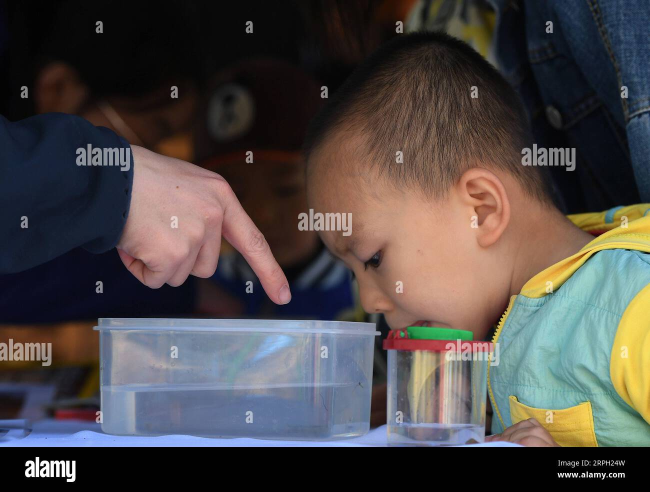 191027 -- PECHINO, 27 ottobre 2019 -- Un bambino osserva le piante acquatiche sotto l'istruzione di un membro del personale durante un festival di osservazione della natura a Pechino, capitale della Cina, 26 ottobre 2019. Il festival di osservazione della natura ha avuto inizio sabato nel Parco Haidian di Pechino. Circa 16 squadre partecipanti sceglieranno siti di osservazione a Pechino e registreranno le informazioni sulle specie di flora e fauna per fornire dati che potrebbero essere utilizzati per la ricerca e la protezione della biodiversità. Il festival consiste anche di altre attività volte a migliorare la consapevolezza dei residenti sulla protezione ecologica. CHINA-BEIJING-NATU Foto Stock