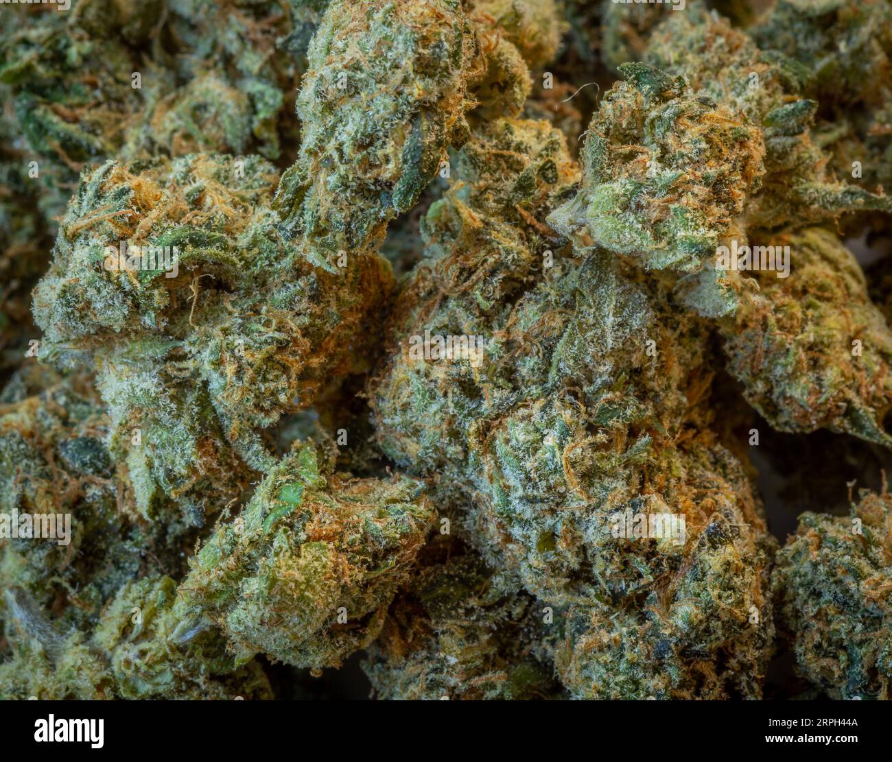 Marijuana Closeup background Foto Stock