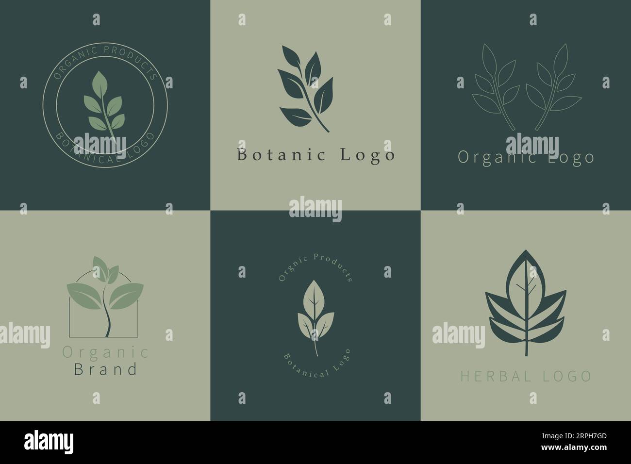 Botanic Logo Collection Illustrazione Vettoriale