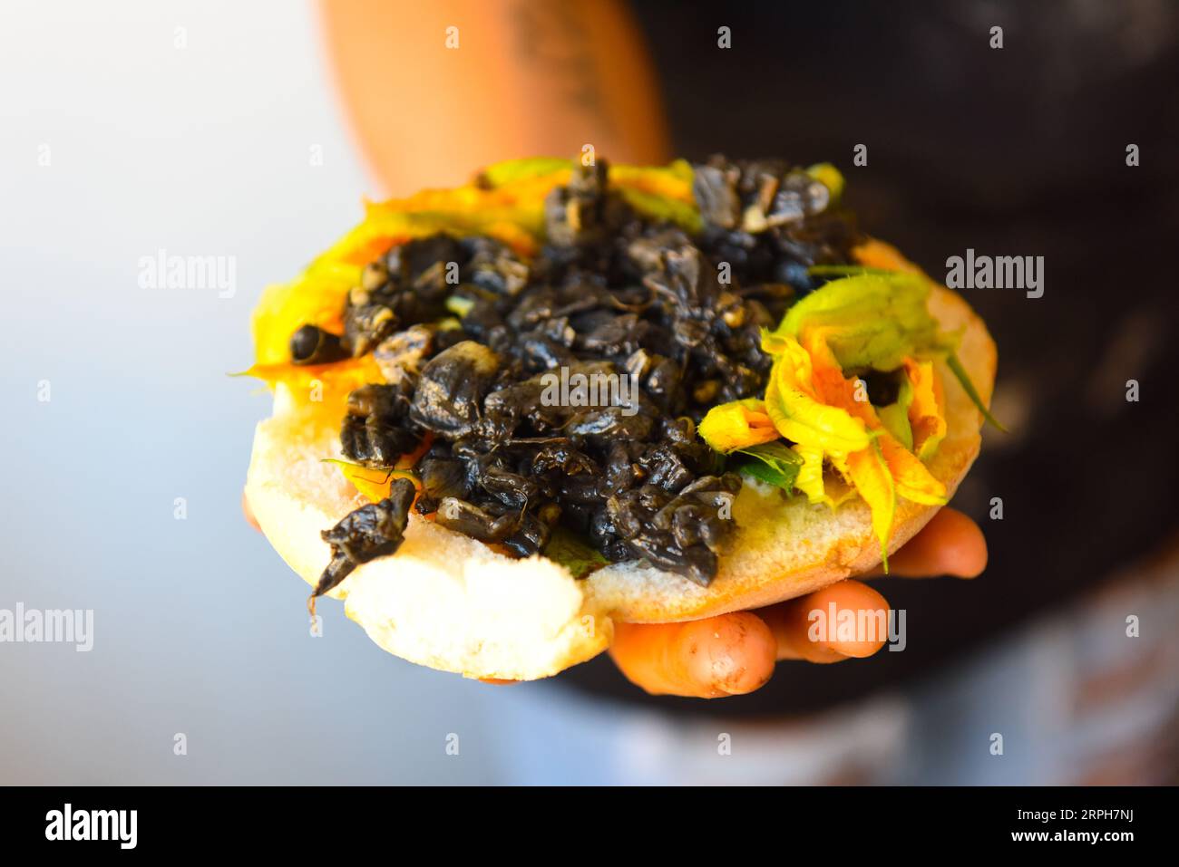 Tacos messicani e nacho chip su un piatto. Taco e tortilla chip su sfondo  grigio. Cucina ispanica messicana. Spazio di copia. Disposizione piatta  Foto stock - Alamy