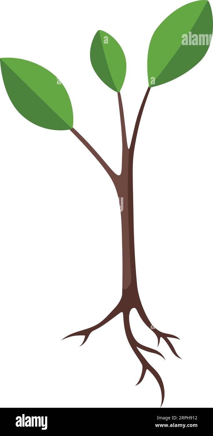 Icona della piantina. Pianta per la coltivazione di semi di alberi verdi Illustrazione Vettoriale