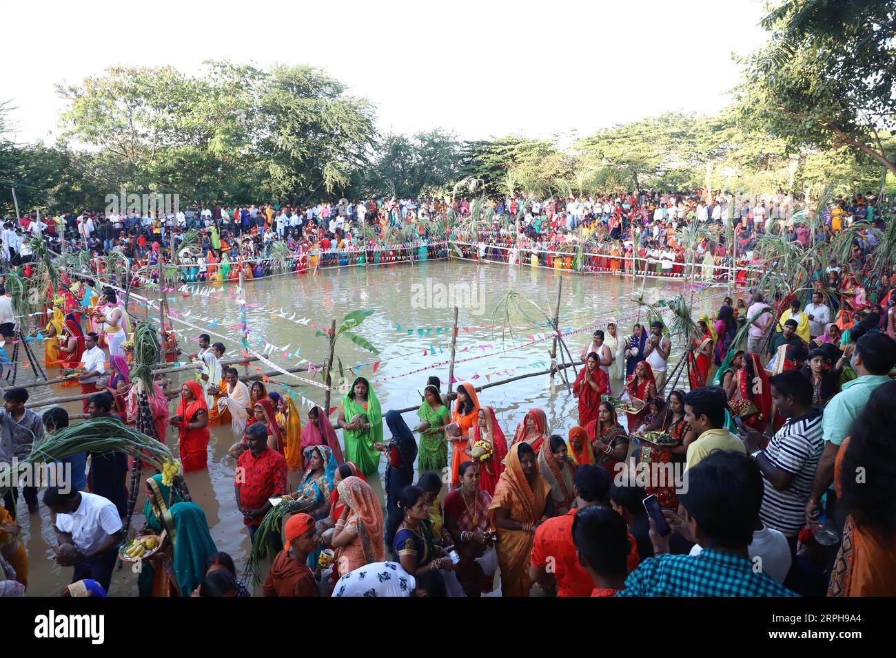 191102 -- BANGALORE, 2 novembre 2019 -- uomini e donne indù devoti eseguono i rituali di Chhath festival Sun God festival in un lago a Bangalore, India, 2 novembre 2019. Il festival Chhath è un'antica festa indù durante la quale viene reso omaggio agli dei del sole e dell'acqua otto giorni dopo Diwali, per la longevità e la prosperità dei membri della famiglia. Str/Xinhua INDIA-BANGALORE-SUN GOD FESTIVAL XinxHuashe PUBLICATIONxNOTxINxCHN Foto Stock