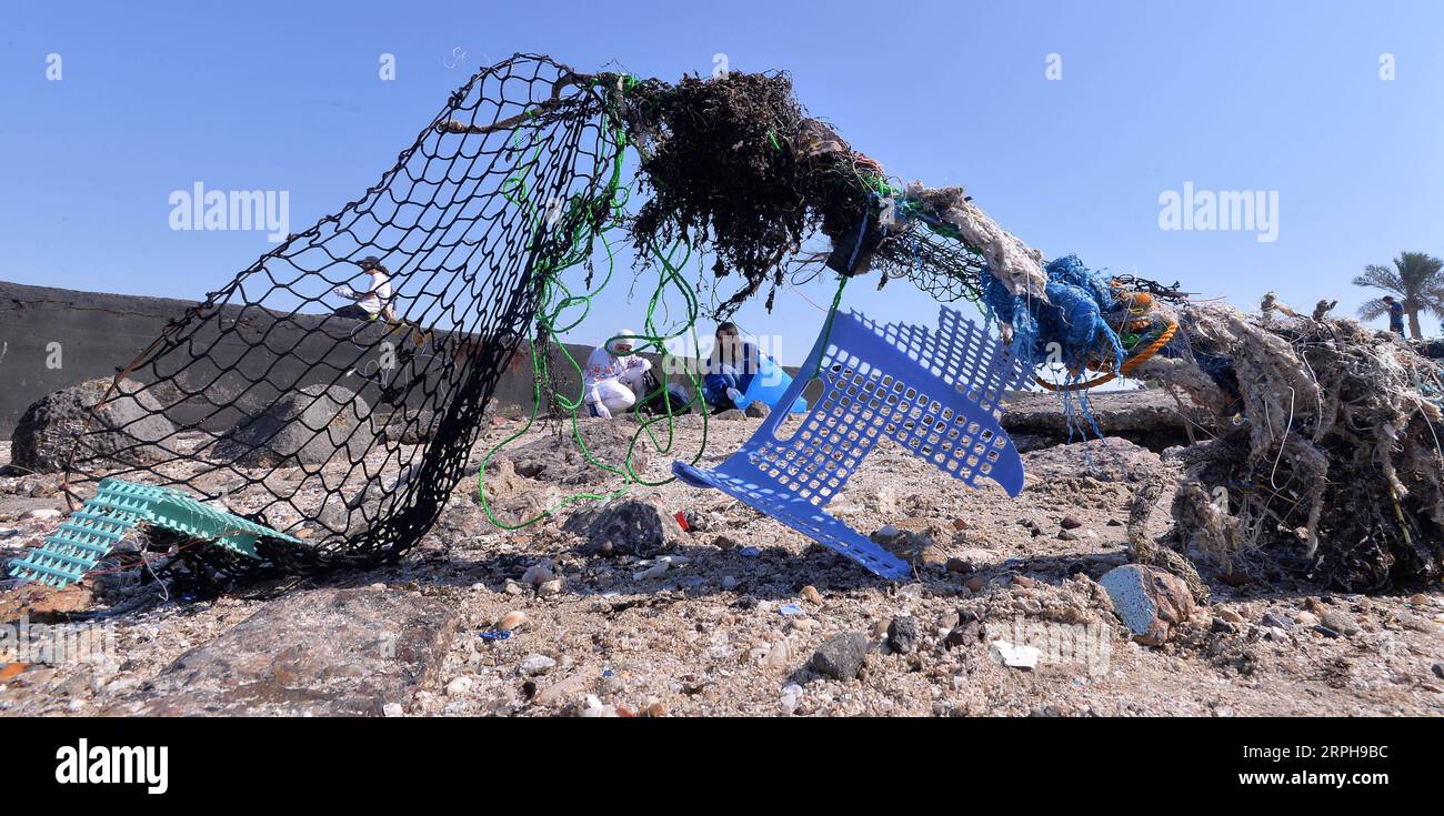 191103 -- KUWAIT CITY, 3 novembre 2019 -- la gente partecipa a una campagna di pulizia della spiaggia a Kuwait City, Kuwait, il 2 novembre 2019. Sabato il Kuwait ha lanciato una campagna di pulizia delle spiagge per migliorare la consapevolezza ambientale delle persone. Foto di Asad/Xinhua KUWAIT-KUWAIT CITY-BEACH CLEANUP CAMPAGNA NiexYunpeng PUBLICATIONxNOTxINxCHN Foto Stock