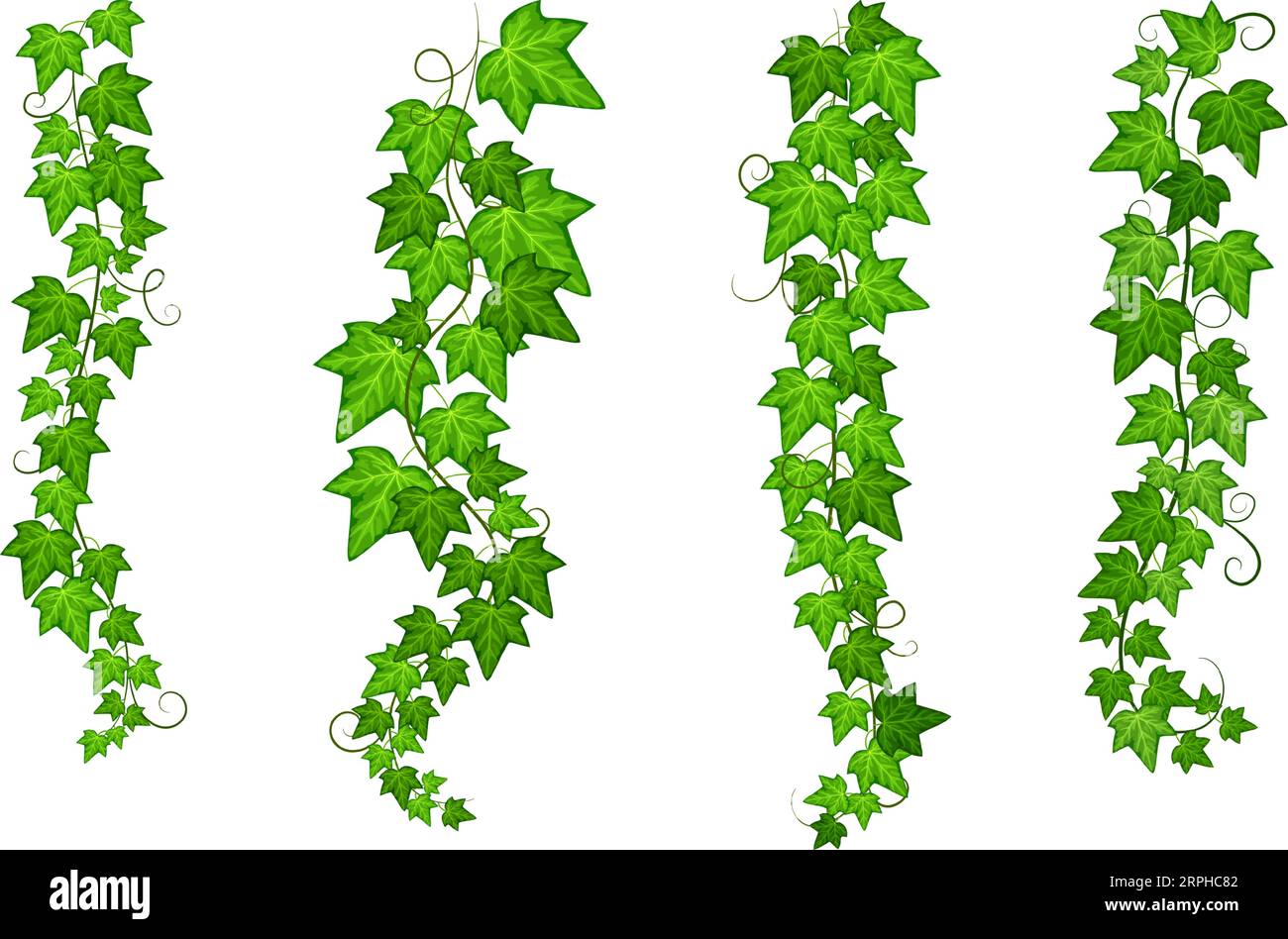 Gruppo ramo superriduttore sospeso. Viti verdi naturali Illustrazione Vettoriale