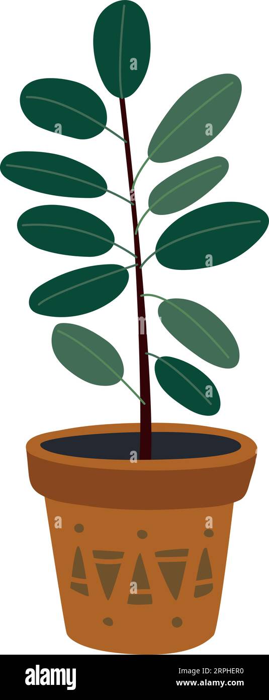 Ficus pot. Impianto di gomma. Decorazione della casa verde Illustrazione Vettoriale