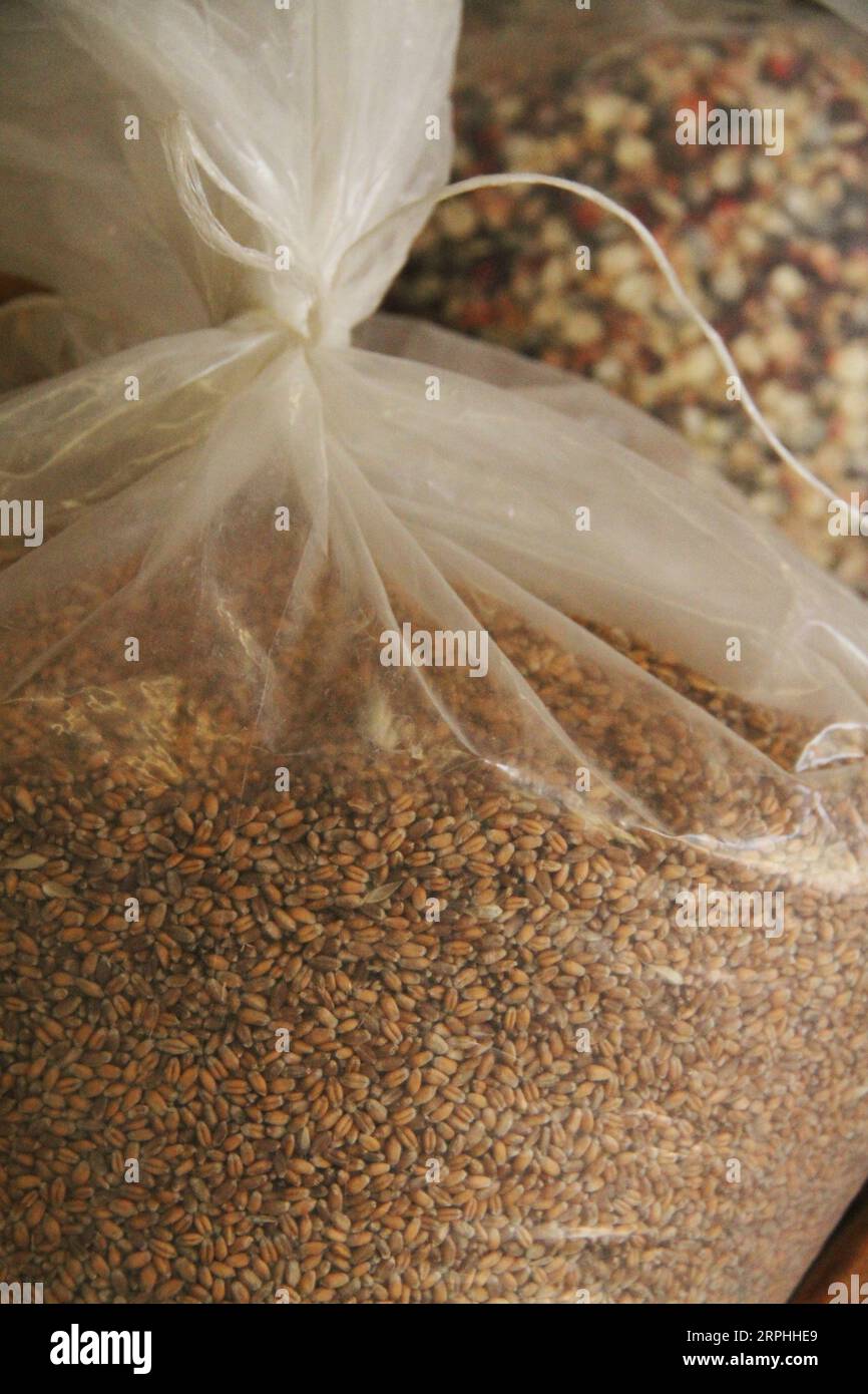 Sacchetti di grani vari in un forno, con grani Farro in primo piano Foto Stock