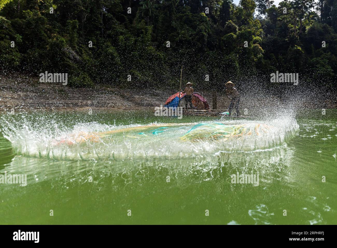 Lancia la rete da pesca al lago di Pedu situato nello stato di Kedah in Malesia Foto Stock