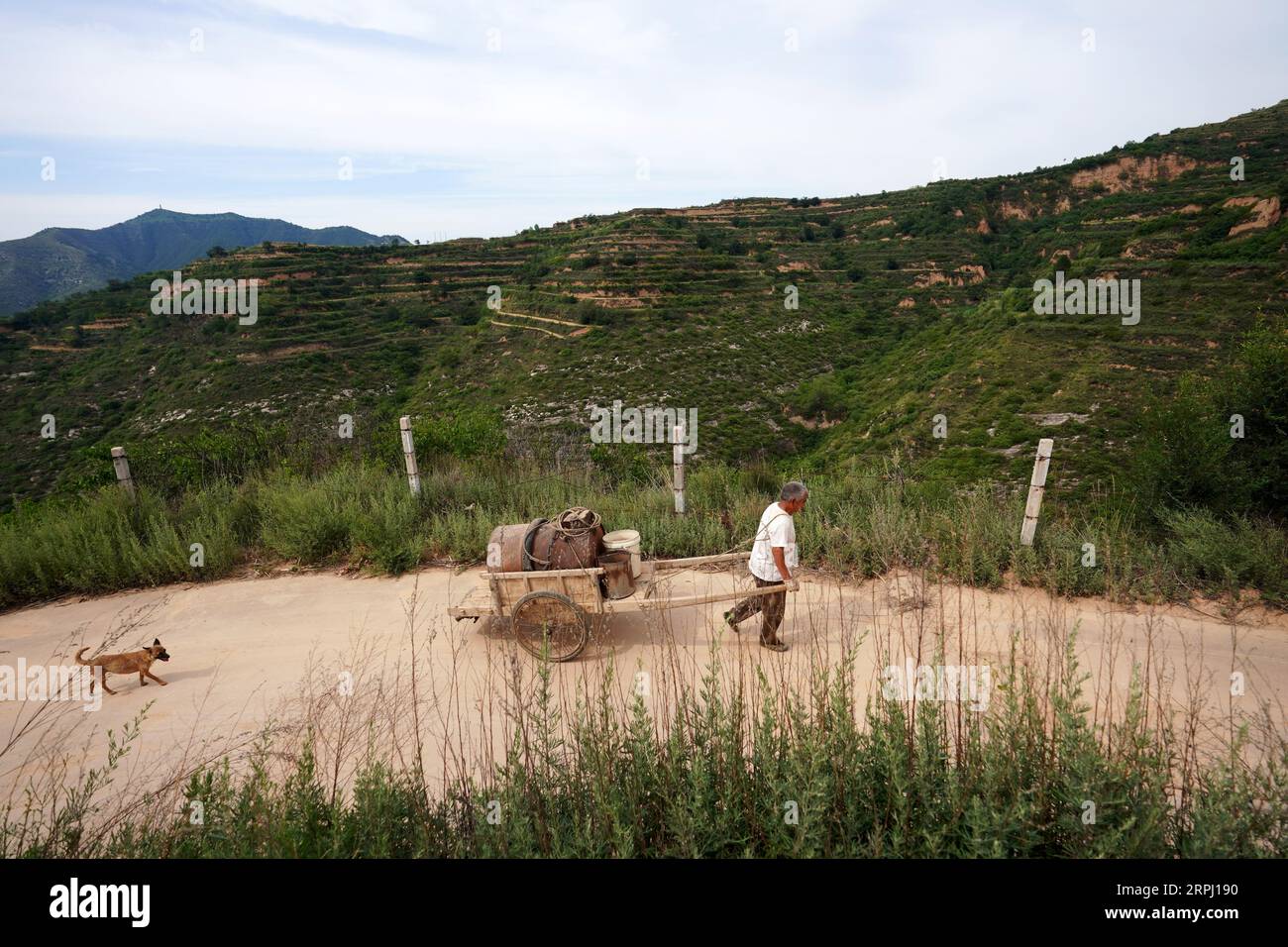 191122 -- YICHENG COUNTY, 22 novembre 2019 -- Un abitante del villaggio sta andando a raccogliere l'acqua immagazzinata in una fossa di fango nel villaggio di Nanling della contea di Yicheng, nella provincia dello Shanxi della Cina settentrionale, 2 luglio 2019. Quando l'interruttore è stato tirato, l'acqua è fuoriuscita da 403 metri sotto. Il primo pozzo d'acqua profonda di Nanling Village è entrato in servizio la mattina presto d'inverno. In passato, il villaggio, che si estendeva attraverso i burroni dei monti Zhongtiao nella Cina settentrionale, si era affidato esclusivamente ai pozzi di fango per immagazzinare la sua preziosa acqua potabile per secoli. Perseguitato dalla paura della siccità, generazioni avevano sognato un diretto a Foto Stock