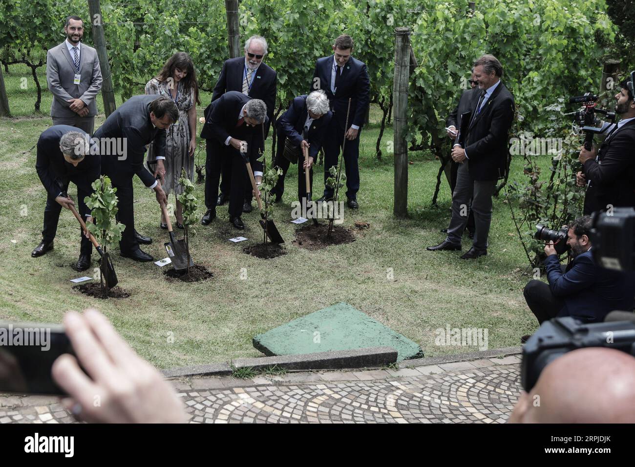 191206 -- BENTO GONCALVES, 6 dicembre 2019 -- il presidente argentino Mauricio Macri, il presidente brasiliano Jair Messias Bolsonaro, il presidente paraguaiano Mario Abdo Benitez e il vicepresidente uruguaiano Lucia Topolansky L-R, piantine d'uva anteriori durante il 55° vertice del mercato comune sudamericano del Mercosur a Bento Goncalves, Brasile, 5 dicembre 2019. Il 55° vertice del Mercosur, che riunisce i paesi sudamericani Brasile, Argentina, Paraguay e Uruguay, ha aperto giovedì nella città brasiliana meridionale di Bento Goncalves. In qualità di ospite del vertice, il presidente del Brasile Jai Foto Stock