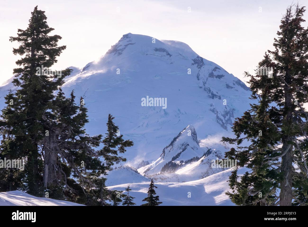 Cima del monte Baker vista da Heather Meadows, Stato di Washington, Stati Uniti Foto Stock