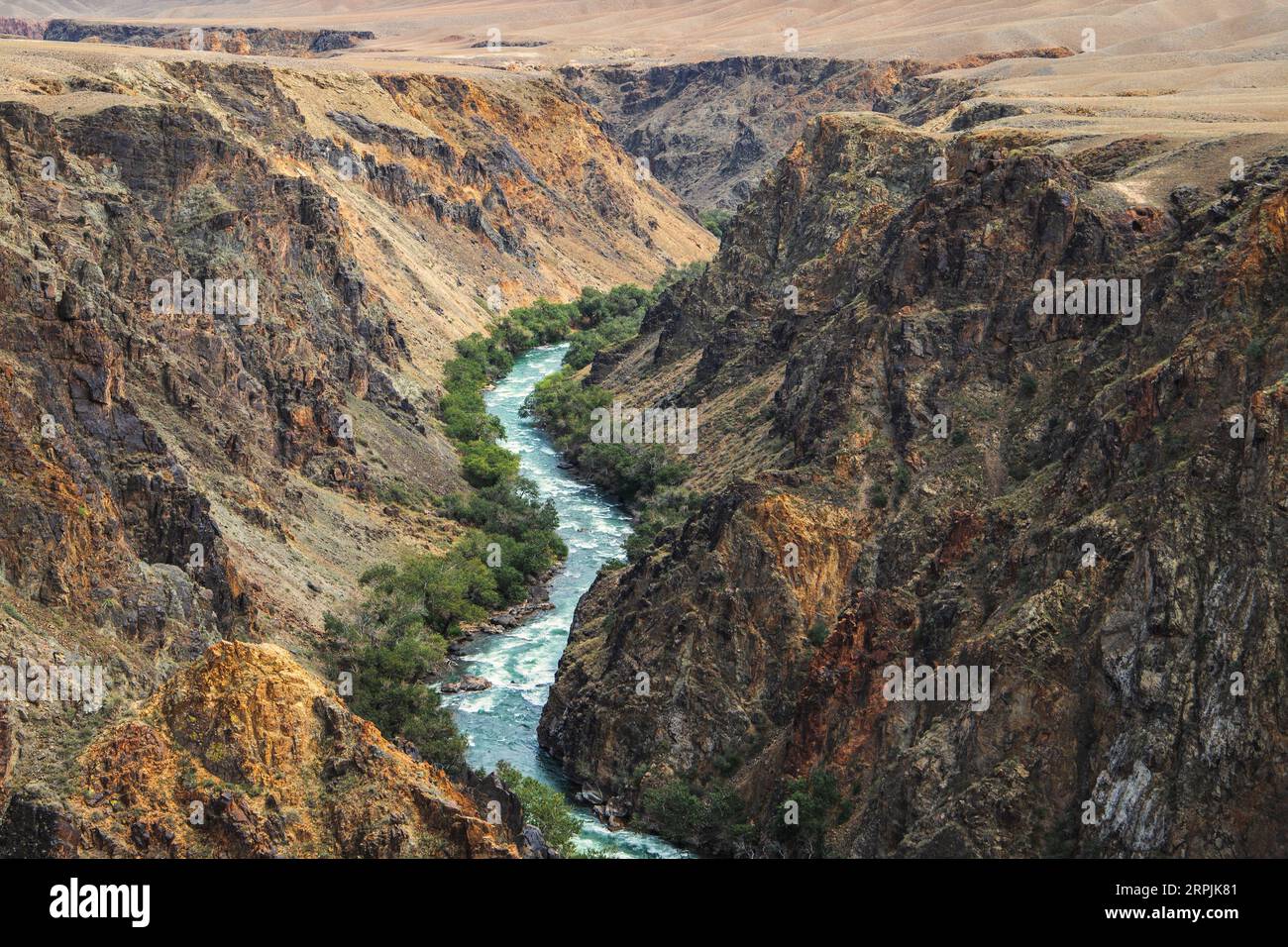 Parte superiore del fiume Charyn, che scorre attraverso il Charyn Canyon in Kazakistan nella regione di Almaty Foto Stock